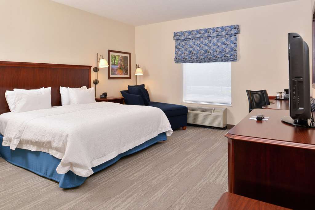Hampton Inn Harrisonburg-South, VA-guestroom-Guest Room,On-Site.jpg