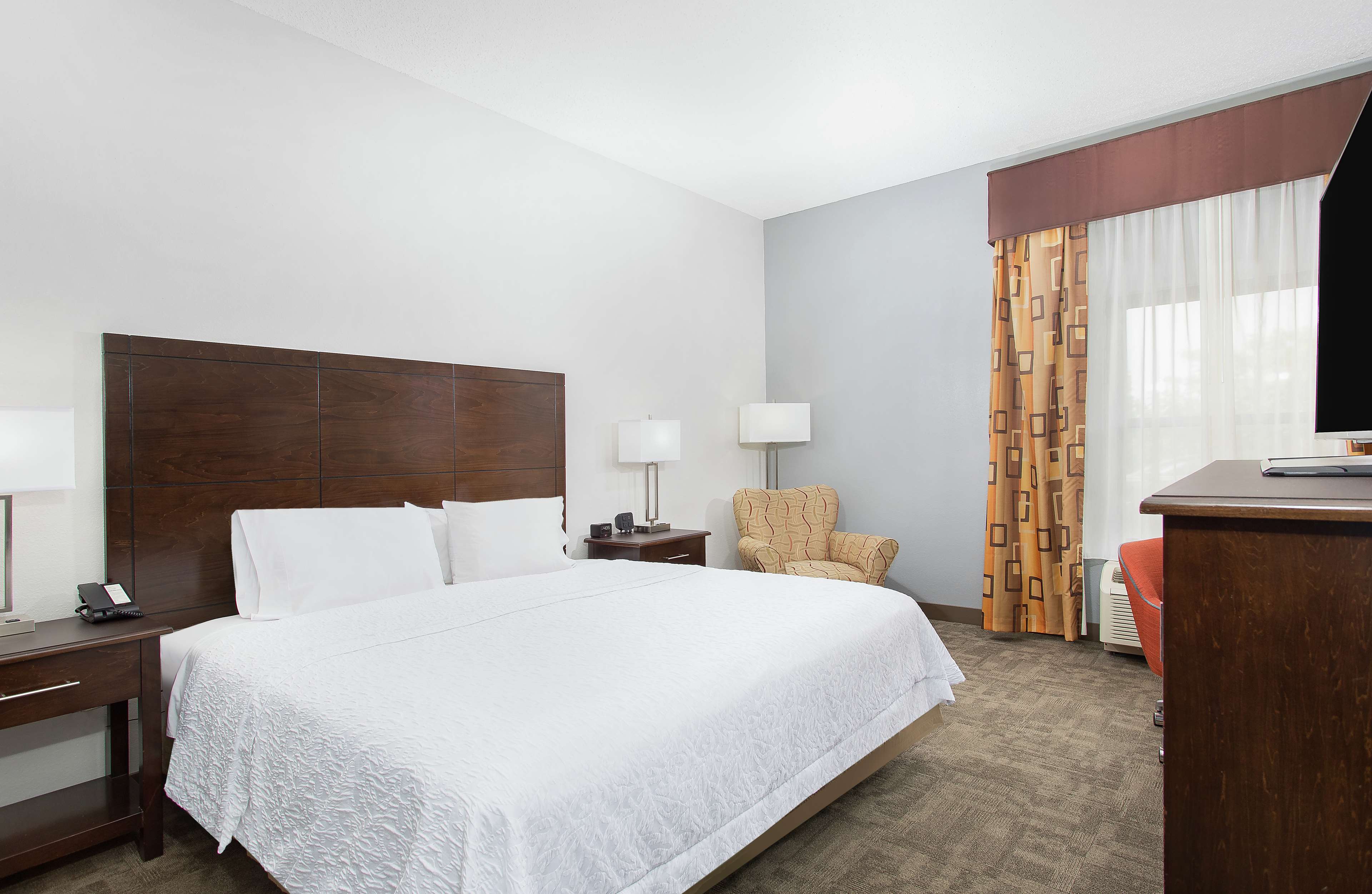 Hampton Inn by Hilton Cullman Room Type - 1KNG MOB HEAR ACC W TUB NS