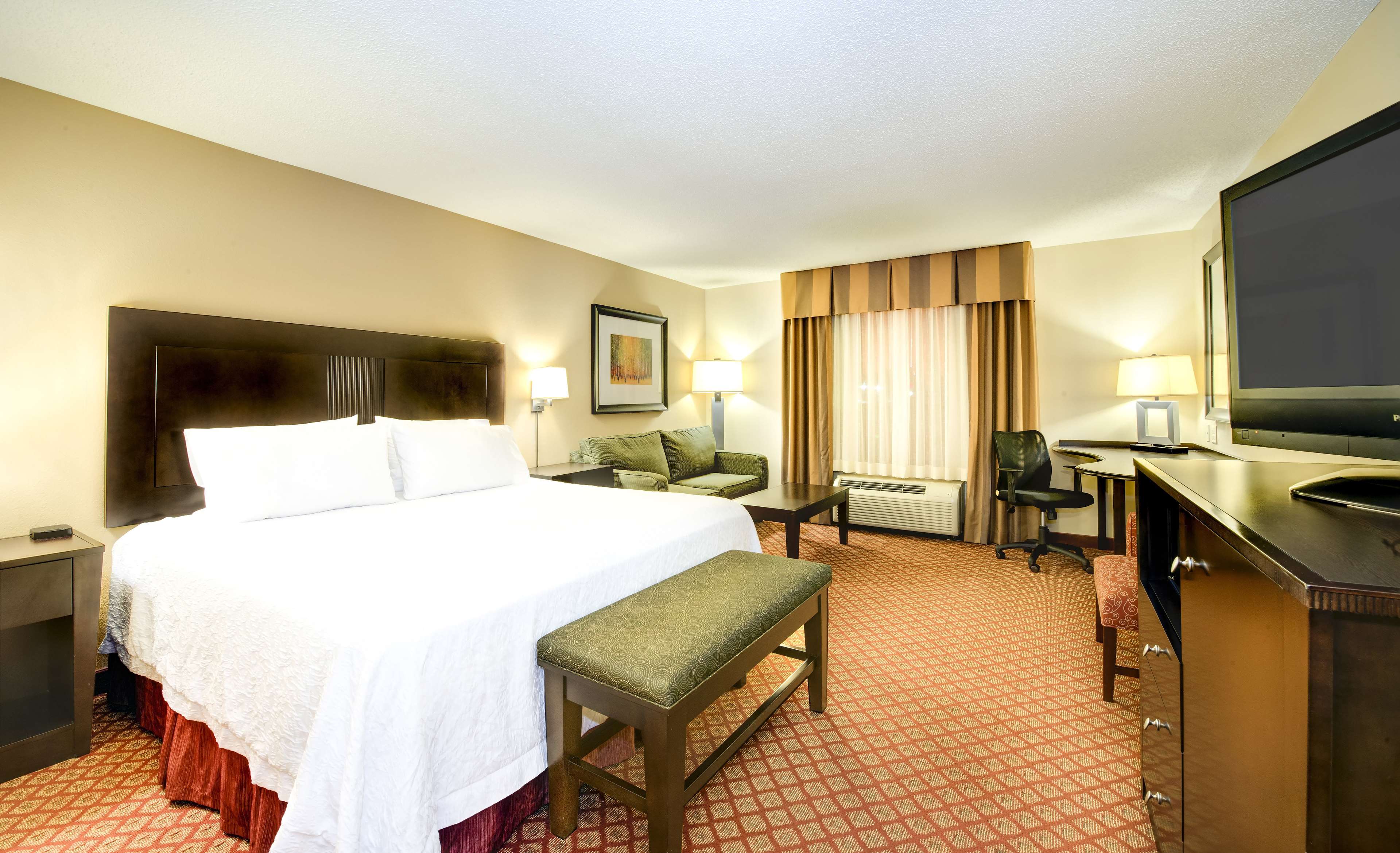 Hampton Inn Suites Scottsboro Room Type - 1KING STUDY SOFABED NOSMOK