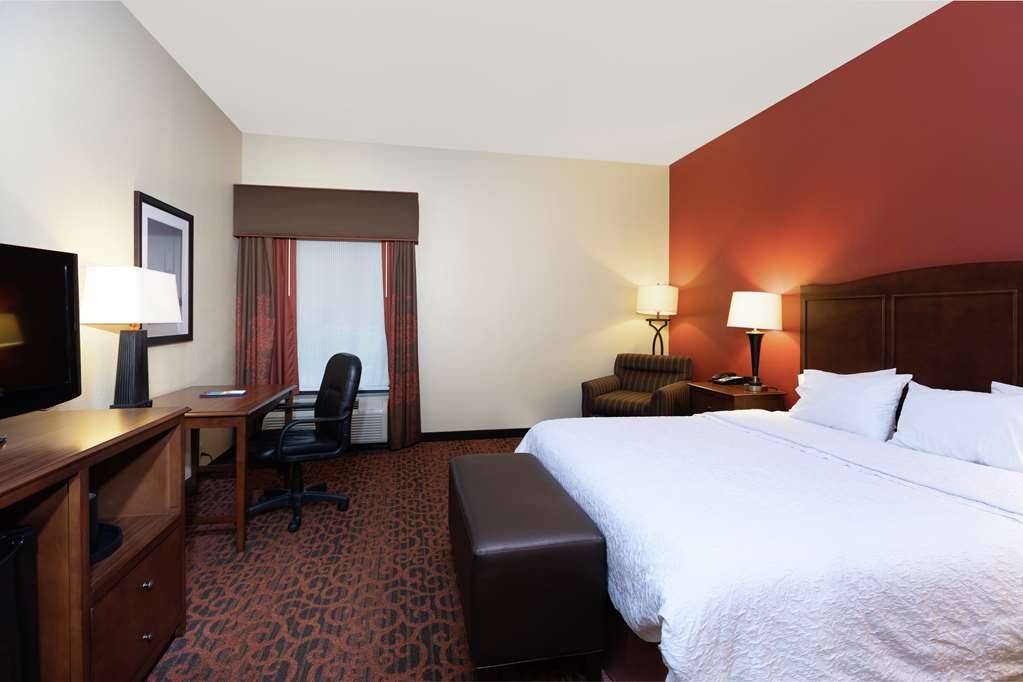 Hampton Inn by Hilton Houma Room Type - 1 KNG ACC ROLLIN SHWR NS