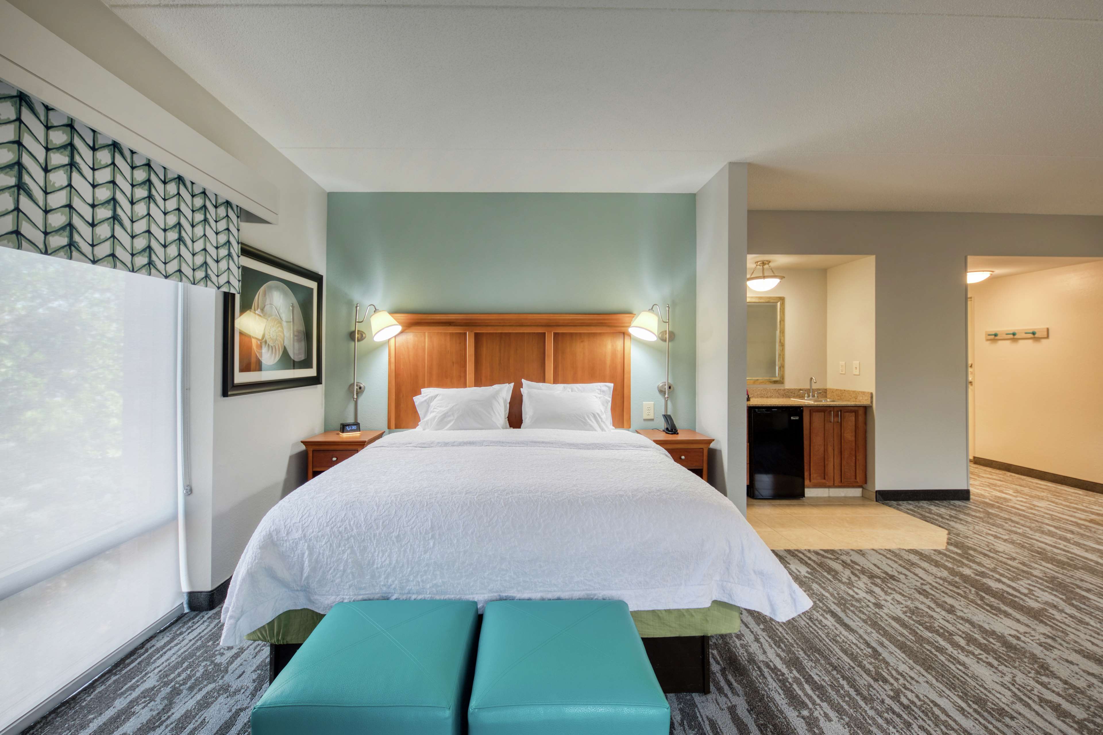 Hampton Inn Wilmington University Area Room Type - 1KNG STUDIO SOFABED NOSMOK
