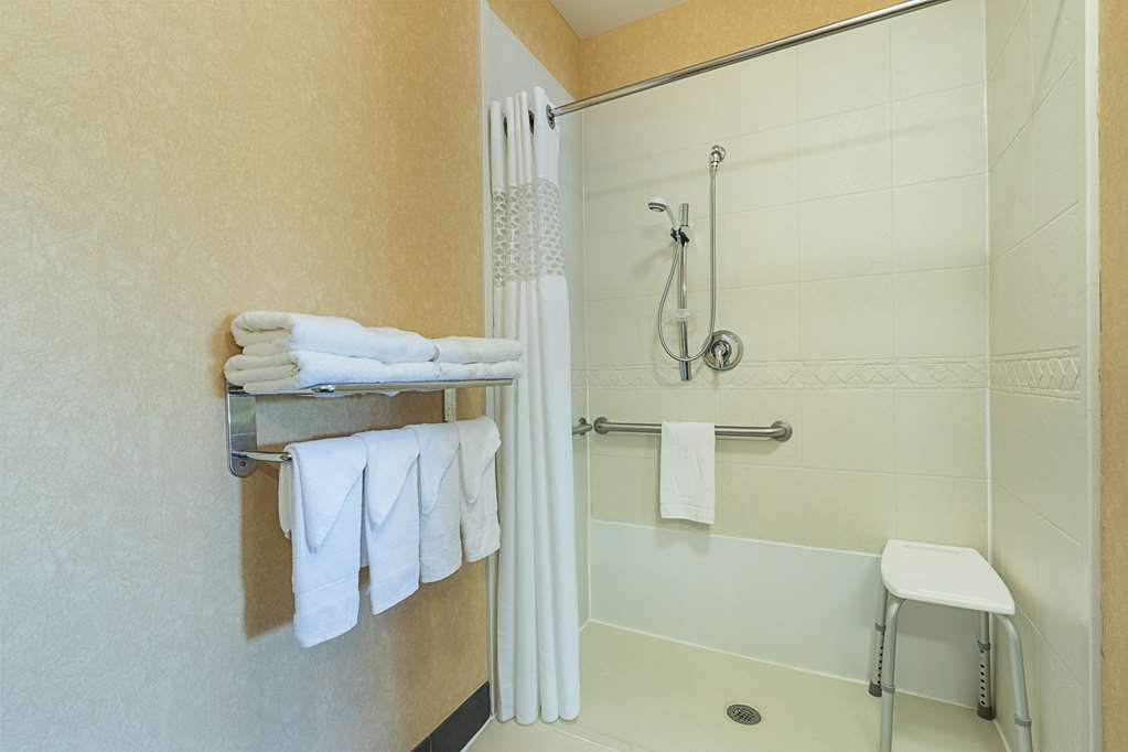 Hampton Inn & Suites Indianapolis/Brownsburg, IN Room Type - 1 KNG ACC ROLLIN SHWR NS