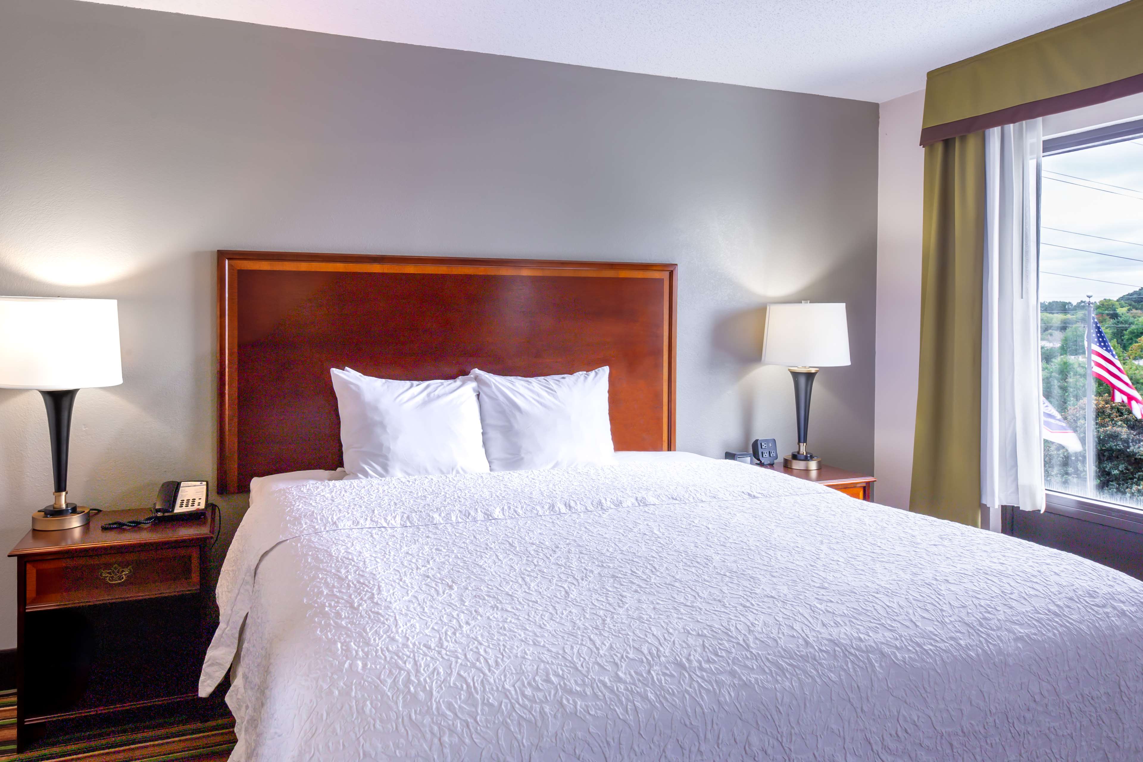 Hampton Inn Winston-Salem-I-40/Hanes Mall Room Type - 1 KING SUITE W  SOFABED NS