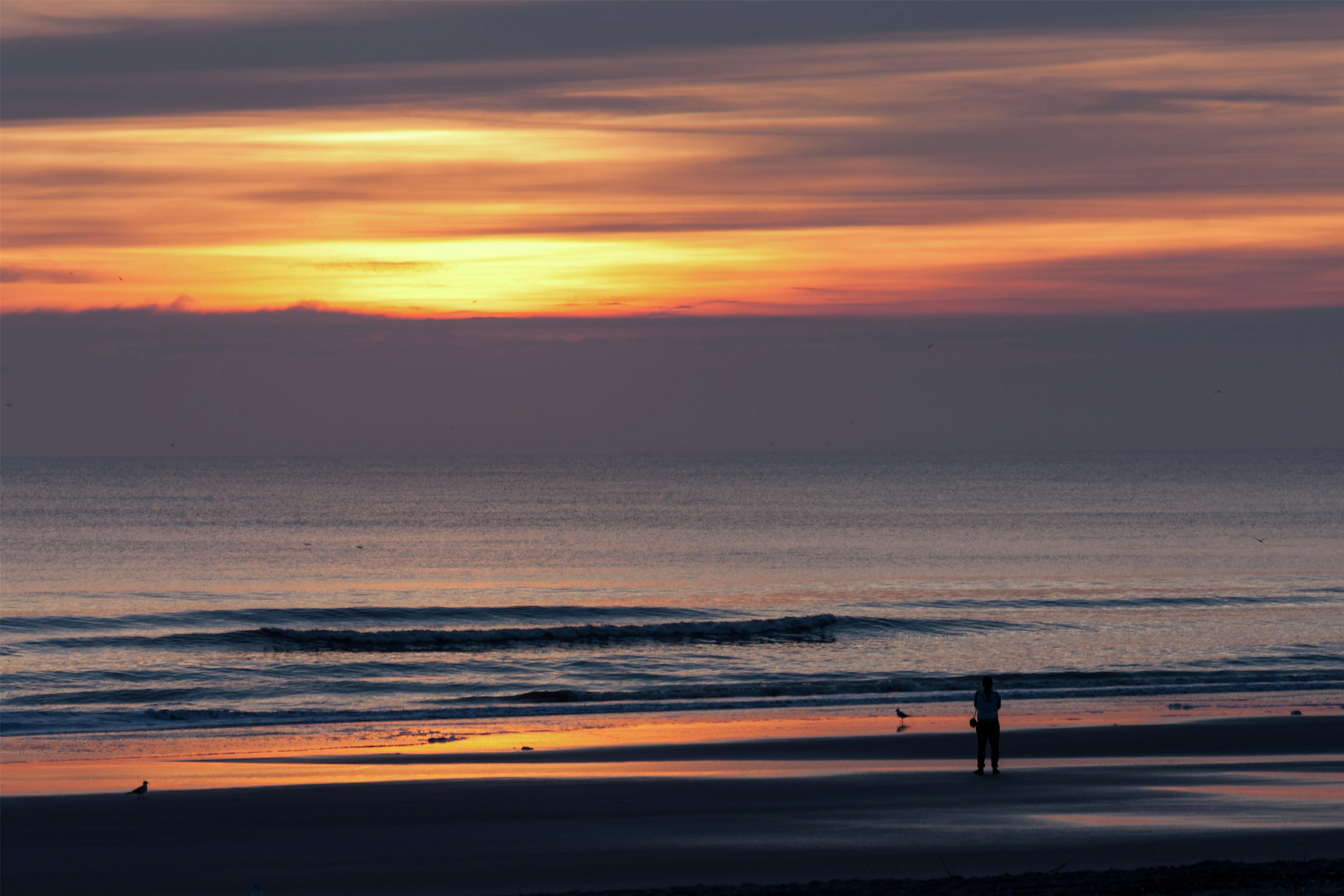 Exterior | Hampton Inn Jacksonville Beach/Oceanfront