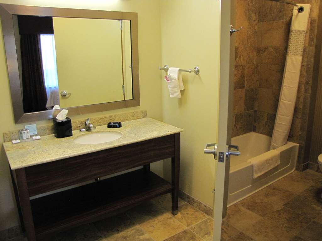 HAMPTON INN SUITES JAMESTOWN ND Room Type - 1KN MOB HEA ACC TUB STU NS
