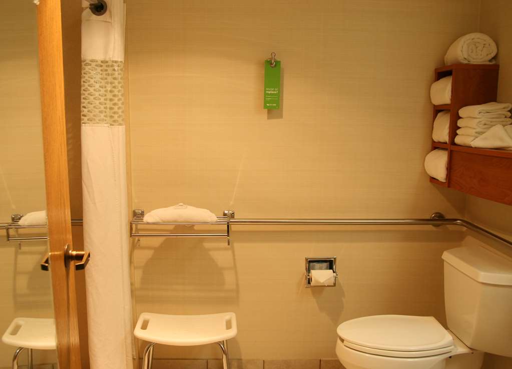 Hampton Inn Joliet I-80 Room Type - 1 KNG ACC ROLLIN SHWR NS