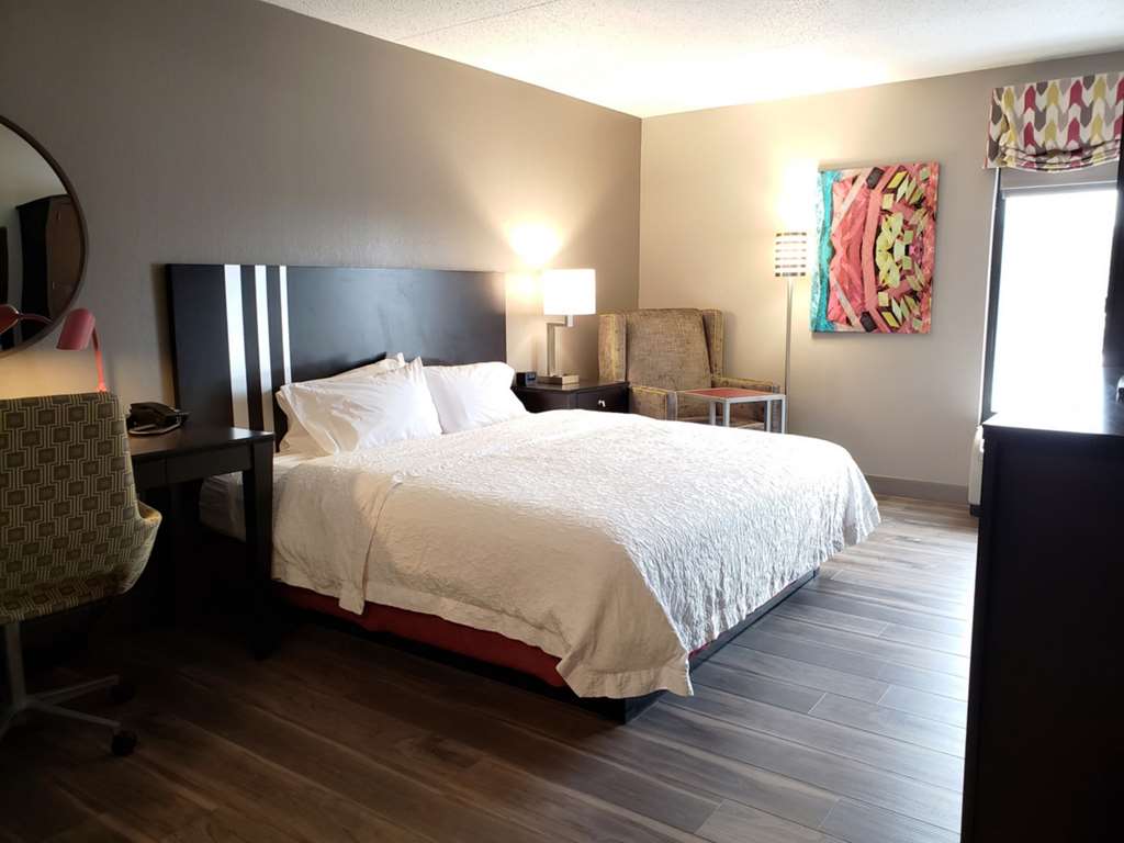 Hampton Inn by Hilton Johnstown Room Type - 1 KNG ACC ROLLIN SHWR NS