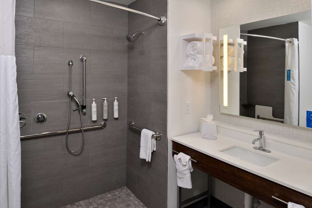 HAMPTON INN LAPLACE LA Room Type - 1 KN ACC RI SHWR STUDIO NS