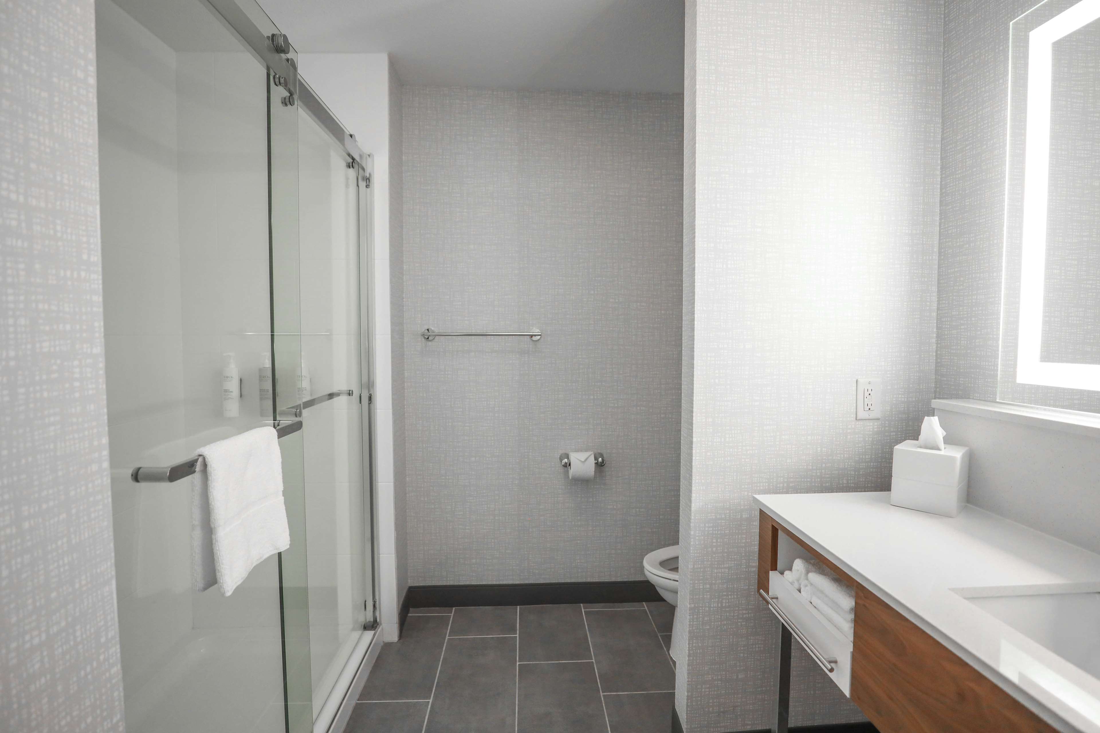 Hampton Inn and Suites Bay City, Texas Room Type - 2QN MOB HEA ACC TUB STE NS
