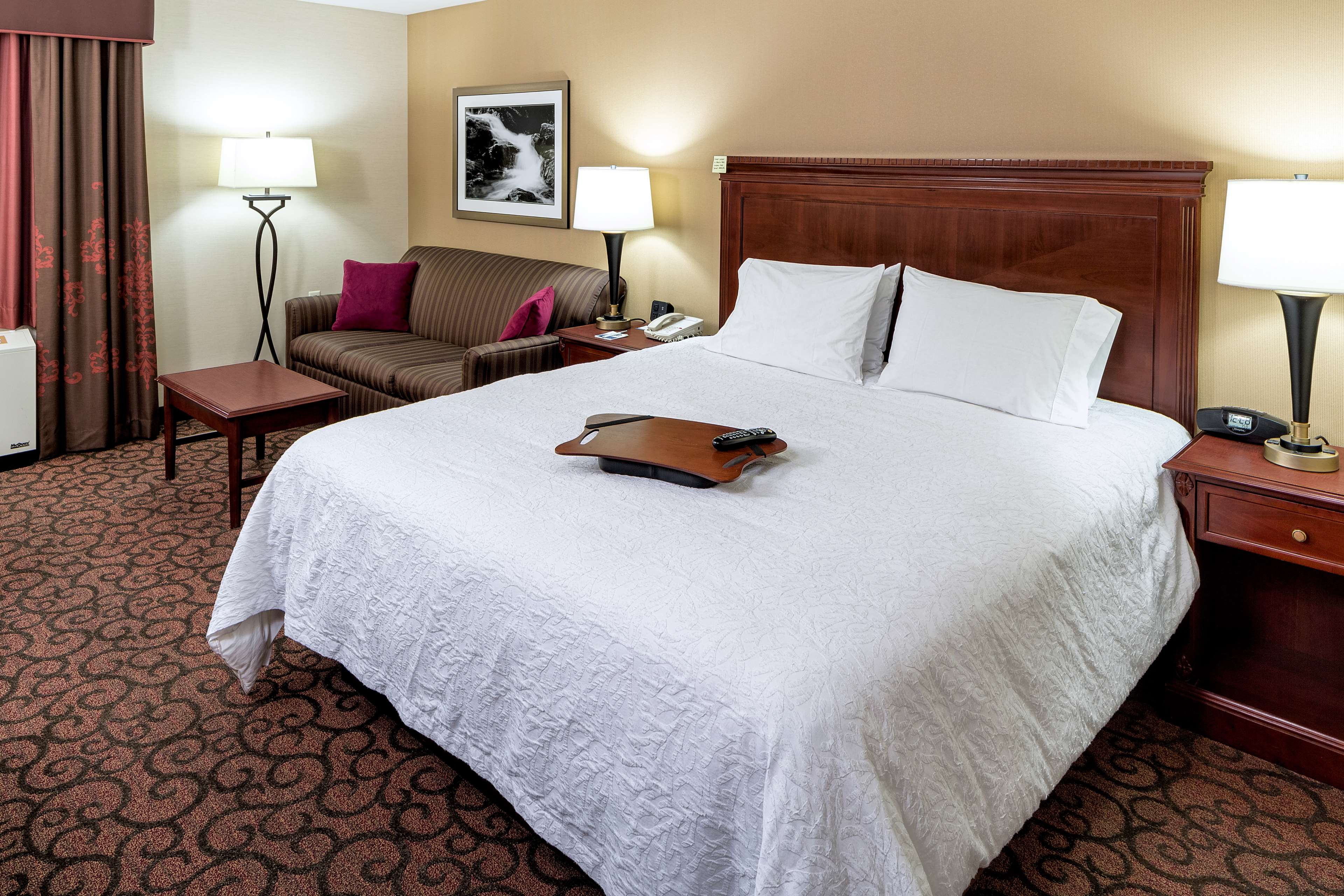 Hampton Inn by Hilton Littleton Room Type - 1 KING SFBD MIC FRG NS