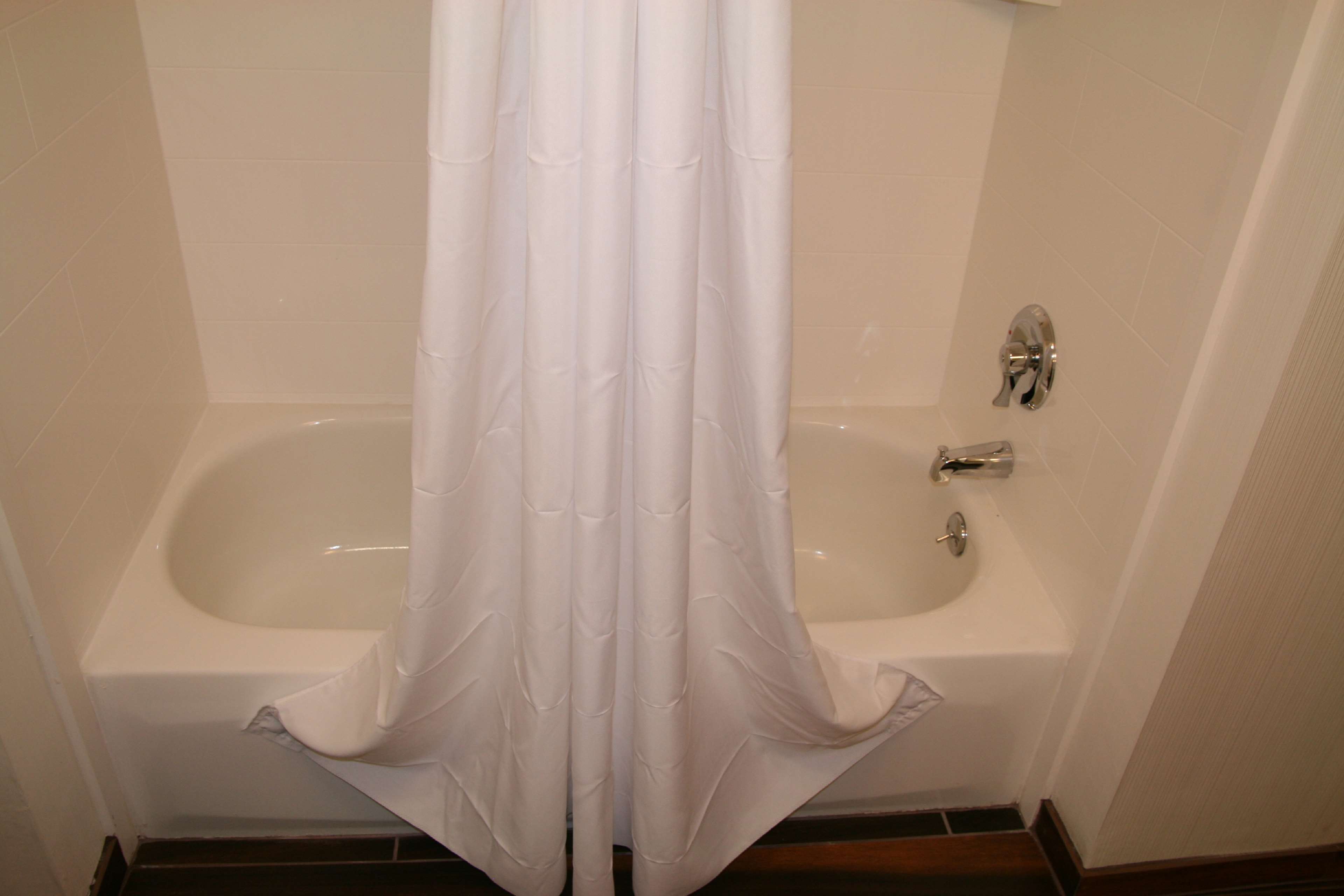 Hampton Inn by Hilton Birch Run/Frankenmuth Room Type - I KING WSOFABED NS