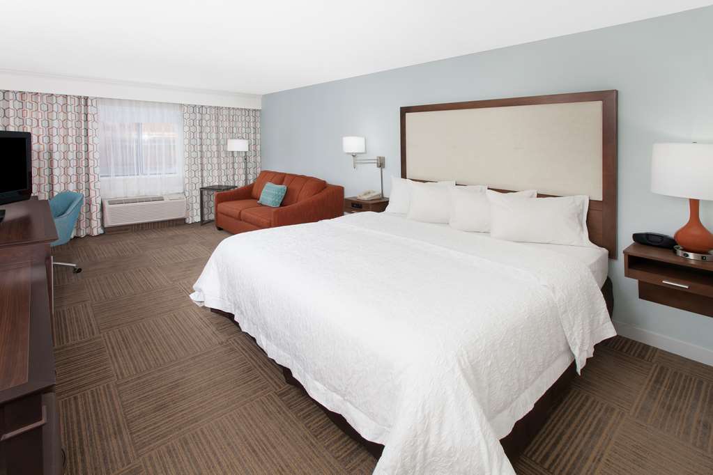 Hampton Inn by Hilton Birch Run/Frankenmuth Room Type - I KING WSOFABED NS