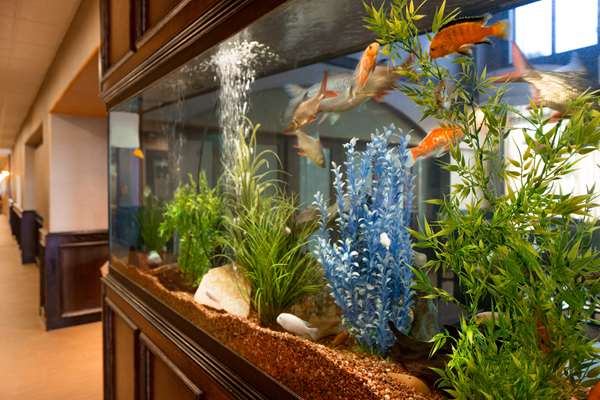  - Hampton Inn & Suites Pharr