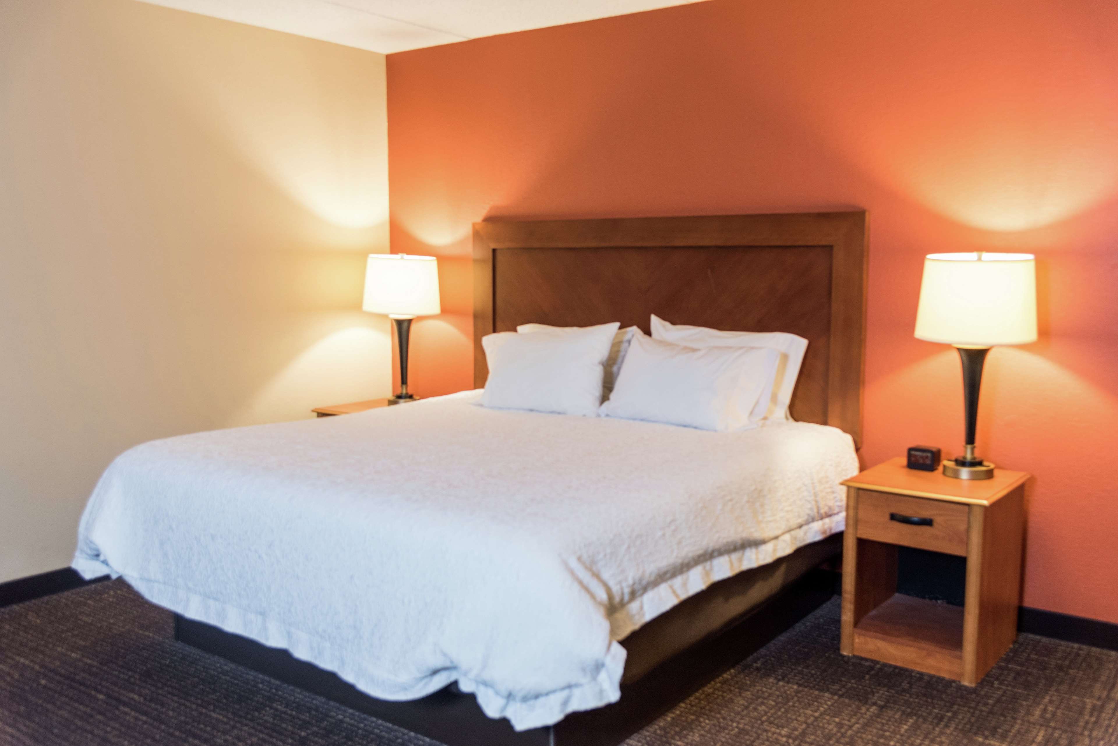 Hampton Inn by Hilton Muskegon Room Type - KING STUDY-NON SMOKING