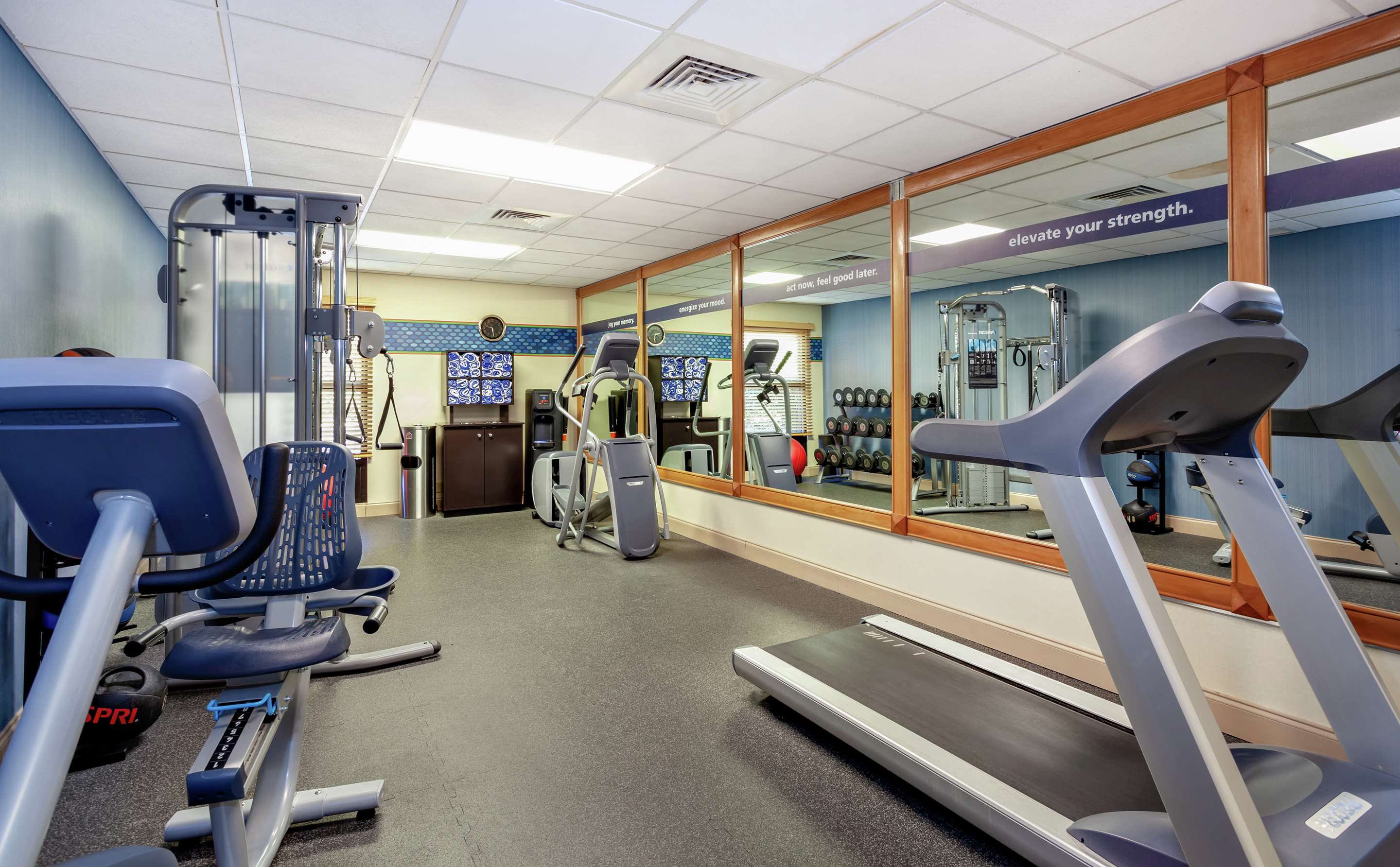 Health club fitness center gym