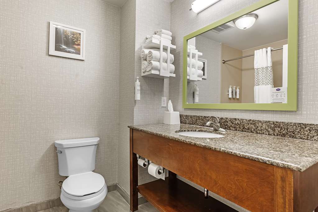 Hampton Inn Atmore Room Type - 1KNG MOB HEAR ACC W TUB NS