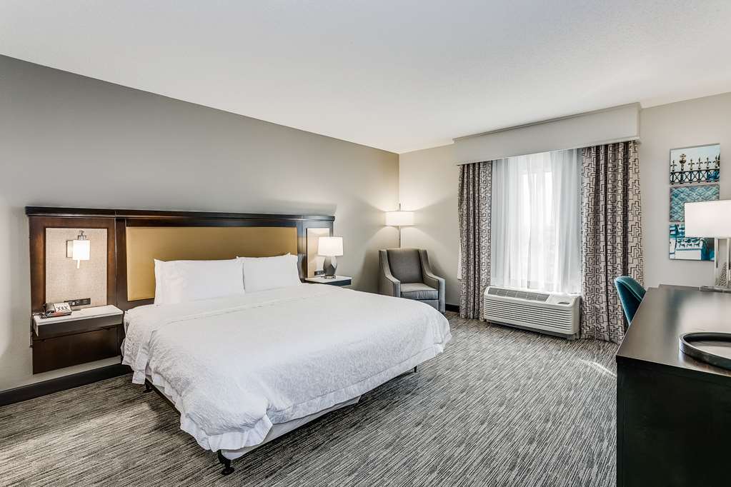 Hampton Inn & Suites Mobile- Downtown Historic District Room Type - 1 KNG ACC ROLLIN SHWR NS