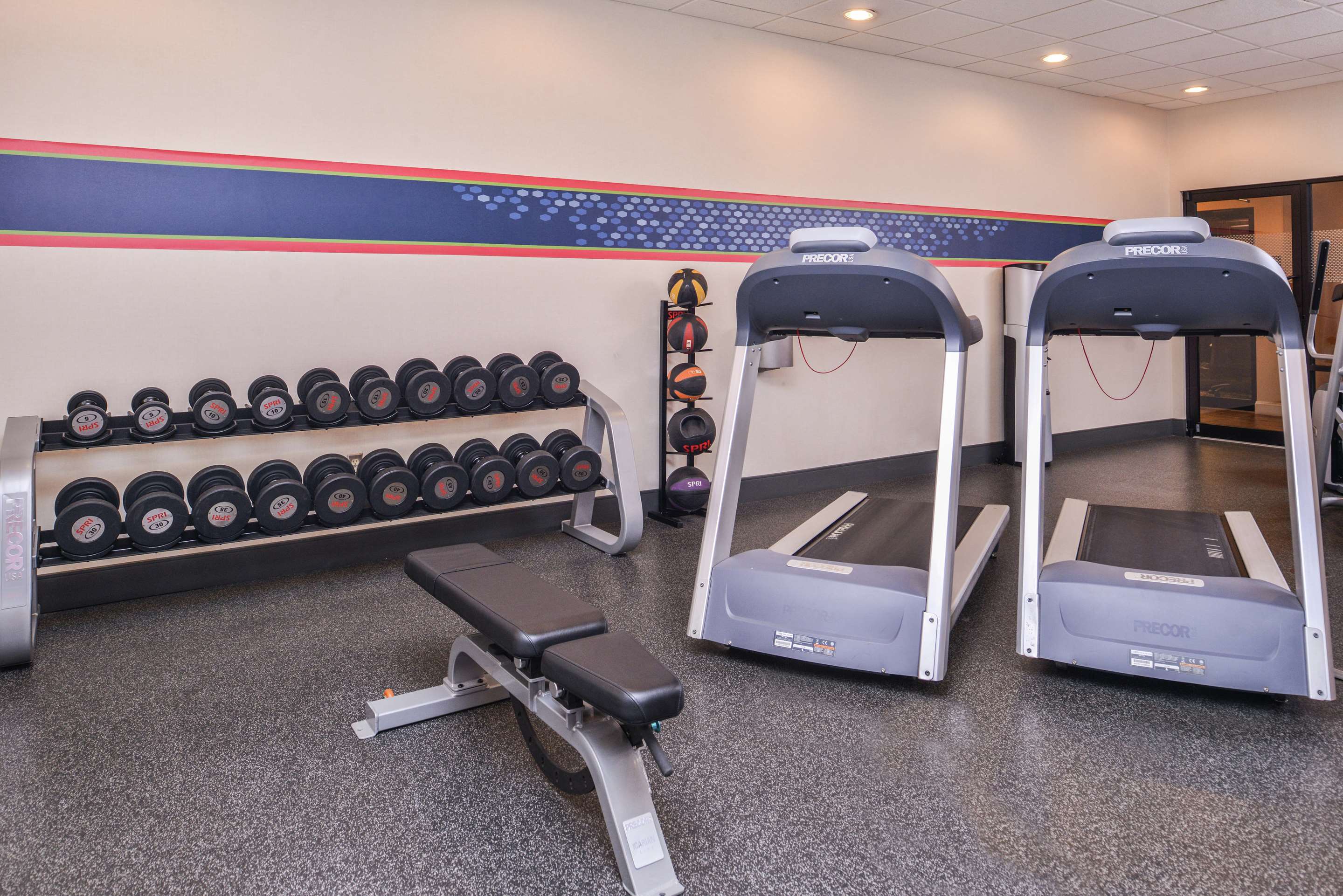 Health club fitness center gym