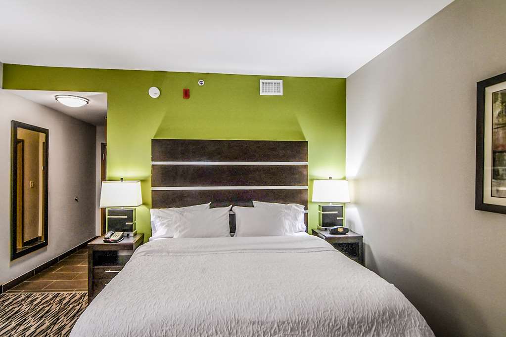 Hampton Inn by Hilton Foley, AL Room Type - 1 KNG ACCESSIBLE TUB NS