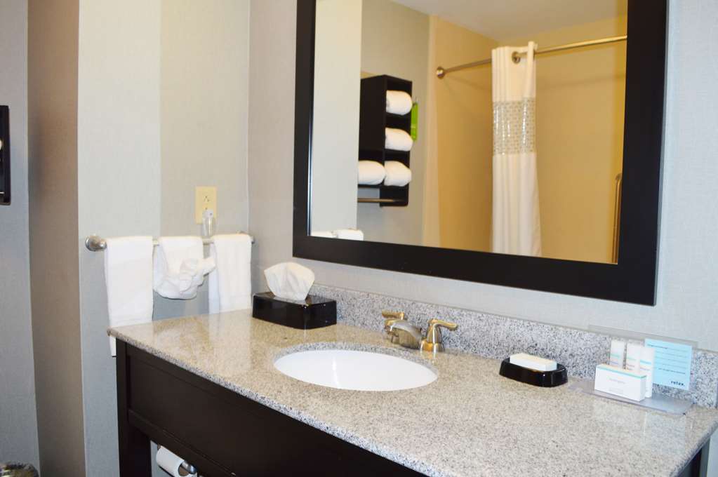Hampton Inn by Hilton Foley, AL Room Type - 1 KNG HEAR ACC NS W SOFABD