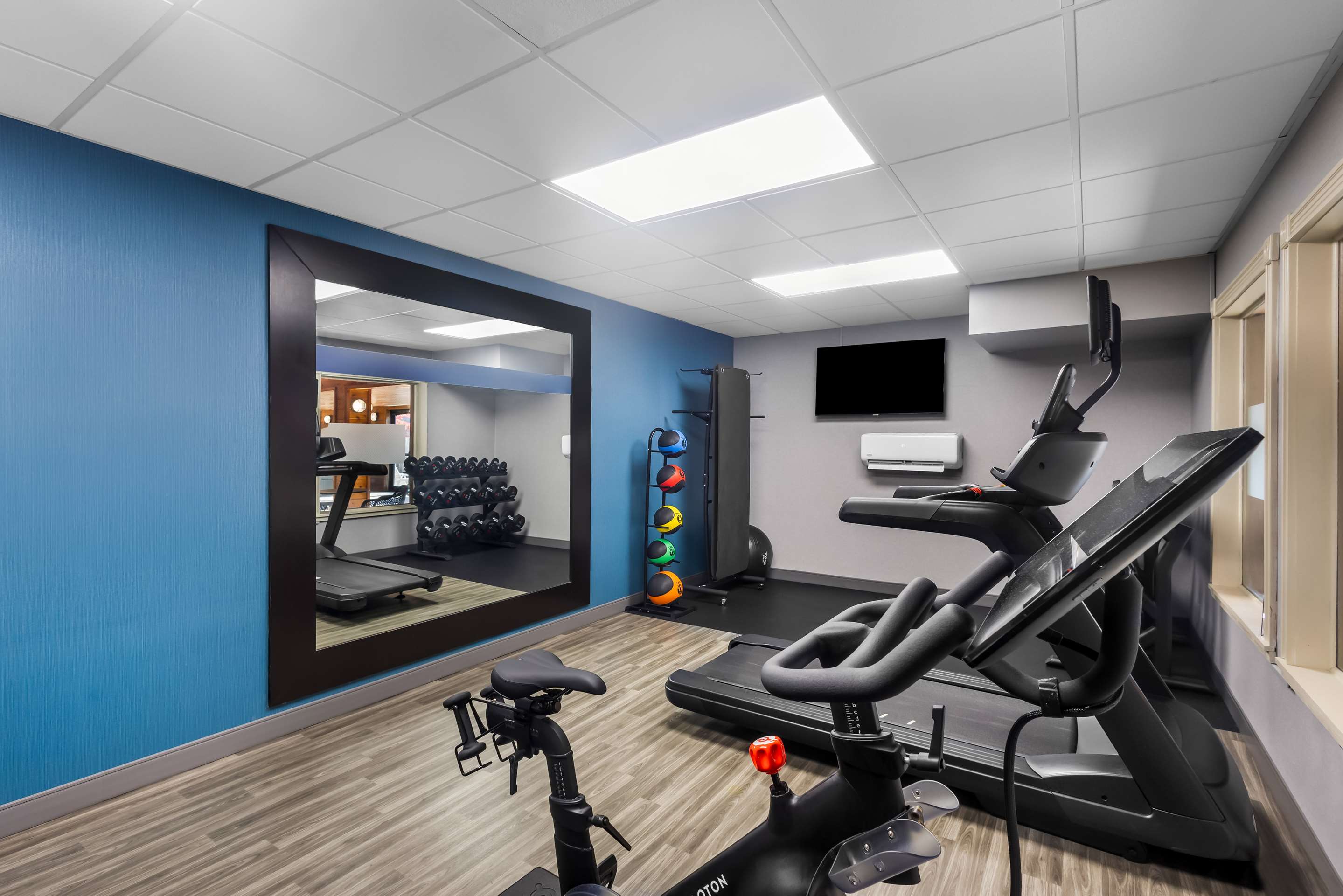 Health club fitness center gym