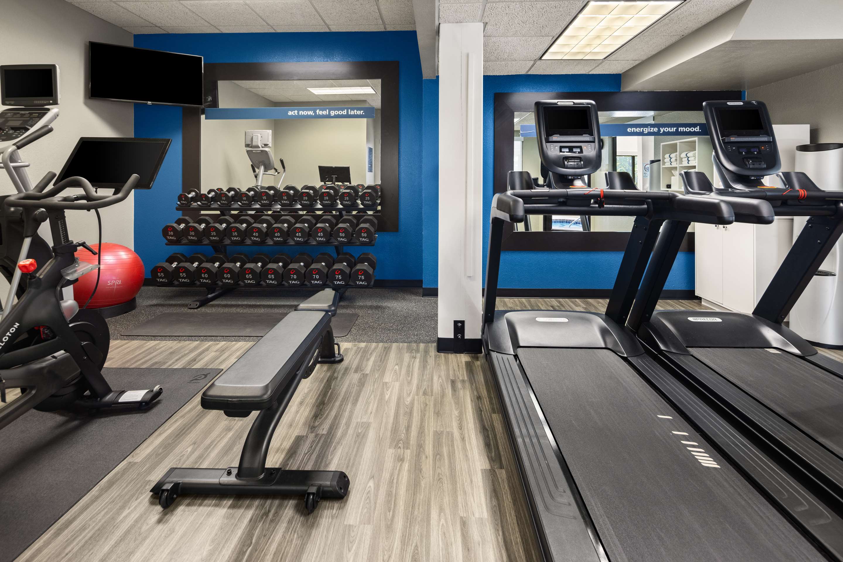 Health club fitness center gym