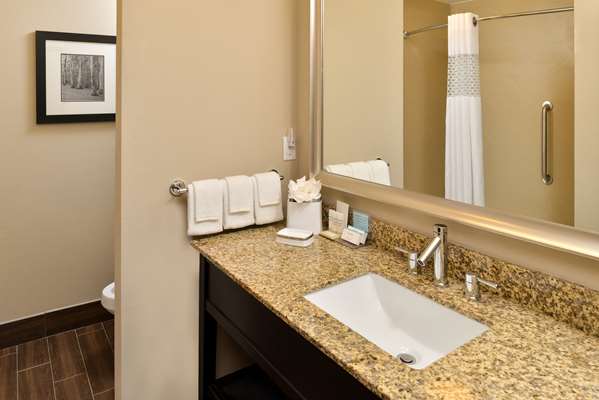  - Hampton Inn & Suites Harvey