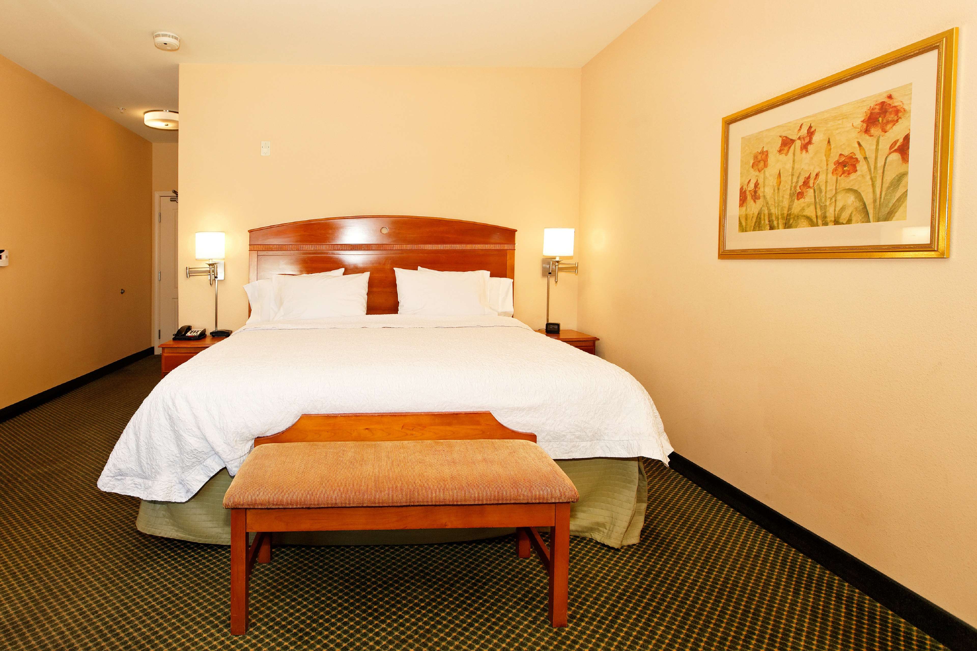 Hampton Inn by Hilton Montrose Room Type - 1 KING BED NONSMOKING