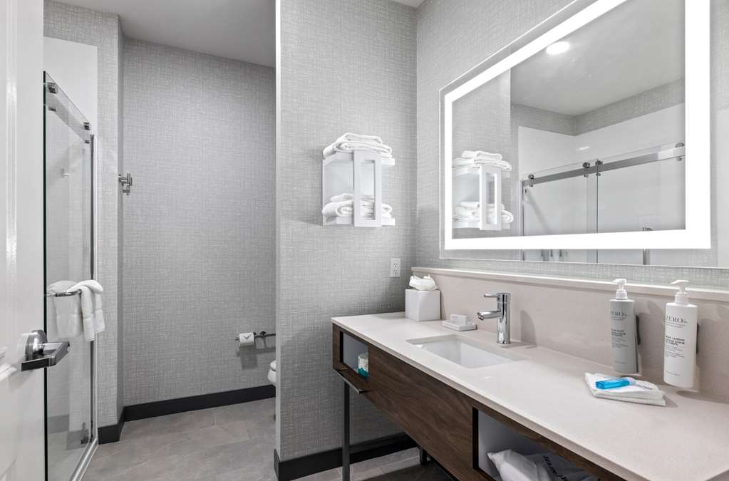Hampton Inn & Suites Mount Pleasant-guestroom-Guest Room,Bathroom,On-Site.jpg