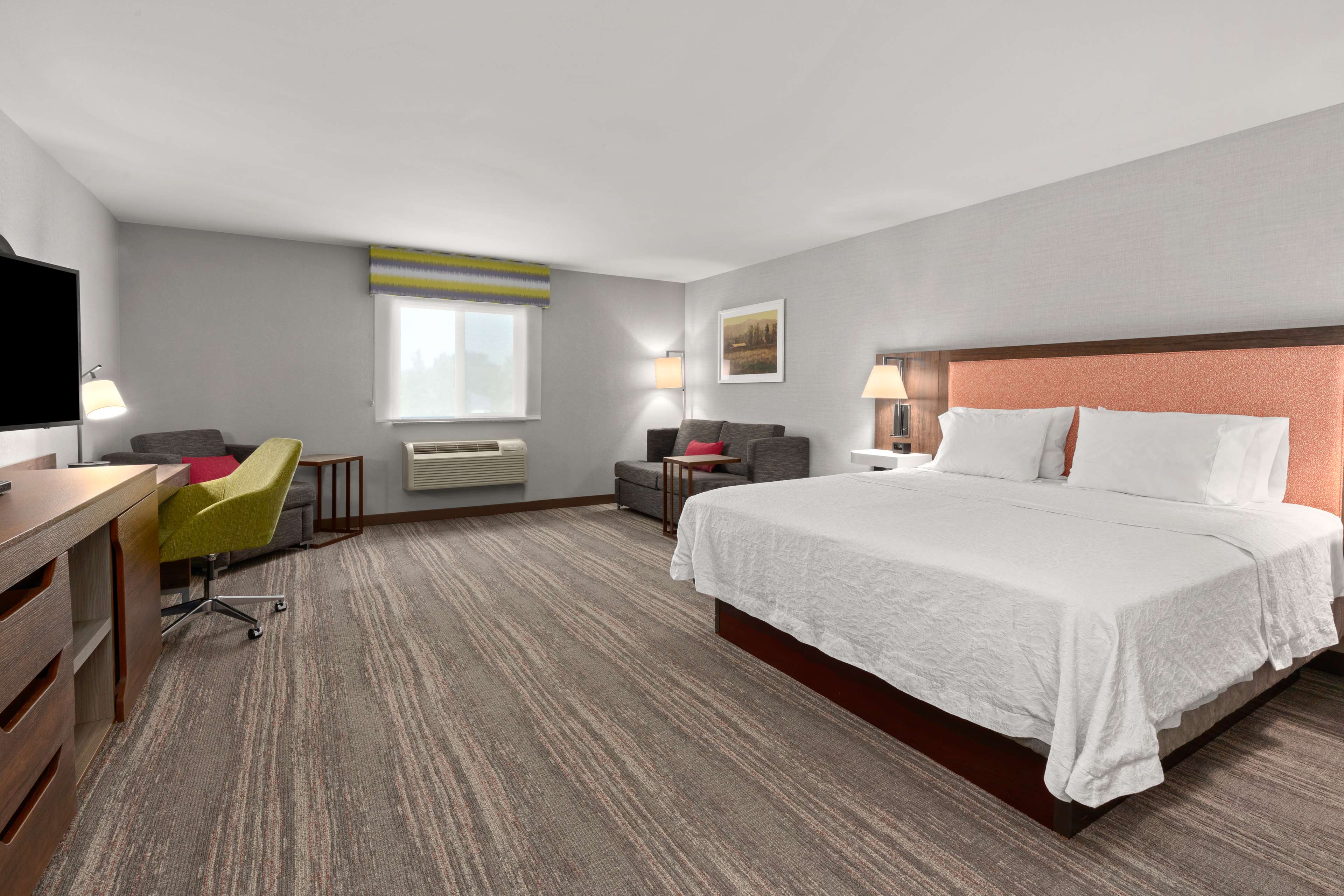 Hampton Inn & Suites Burlington Room Type - 1 KN ACC RI SHWR STE NS