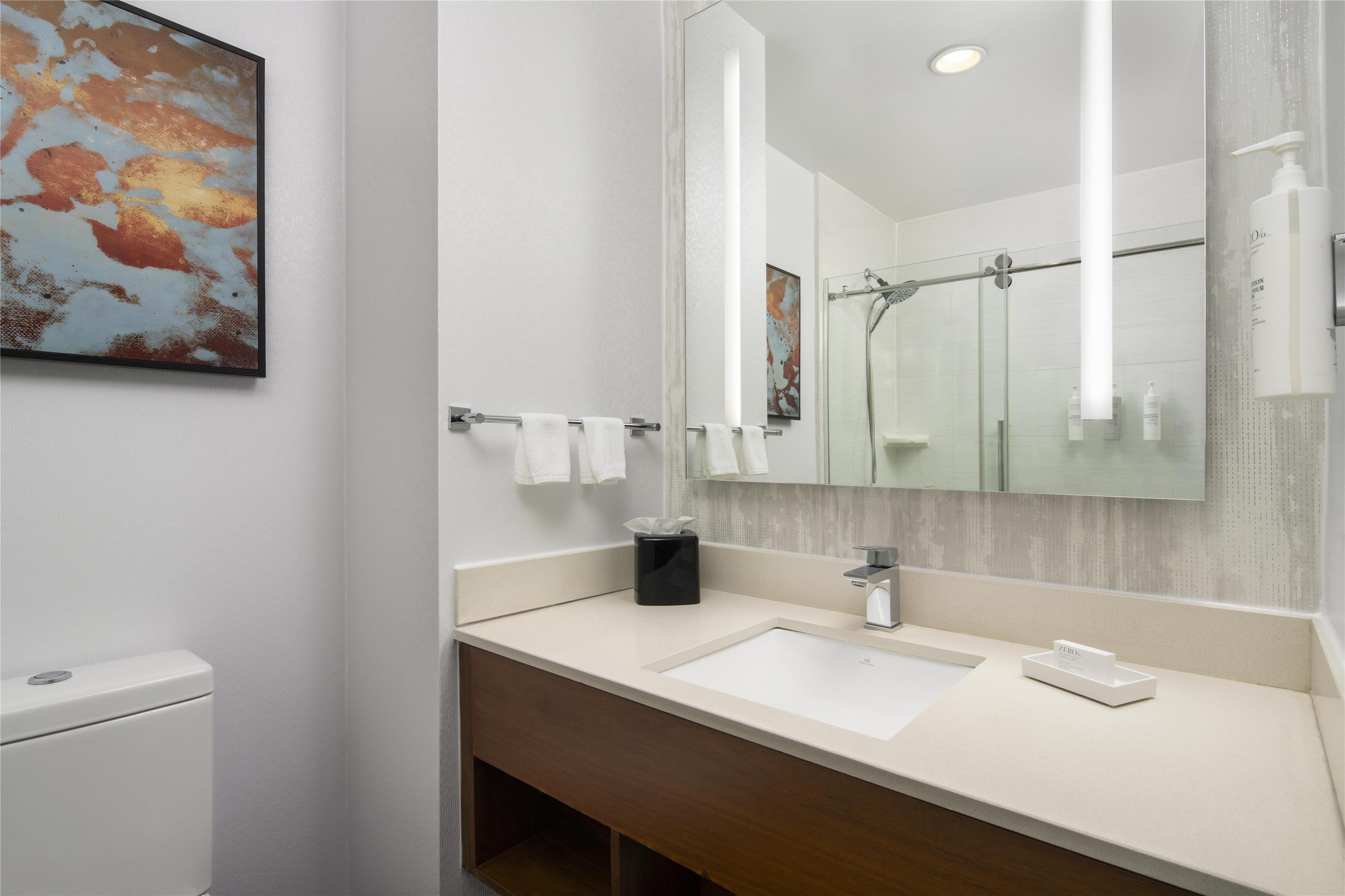 Guest room bath