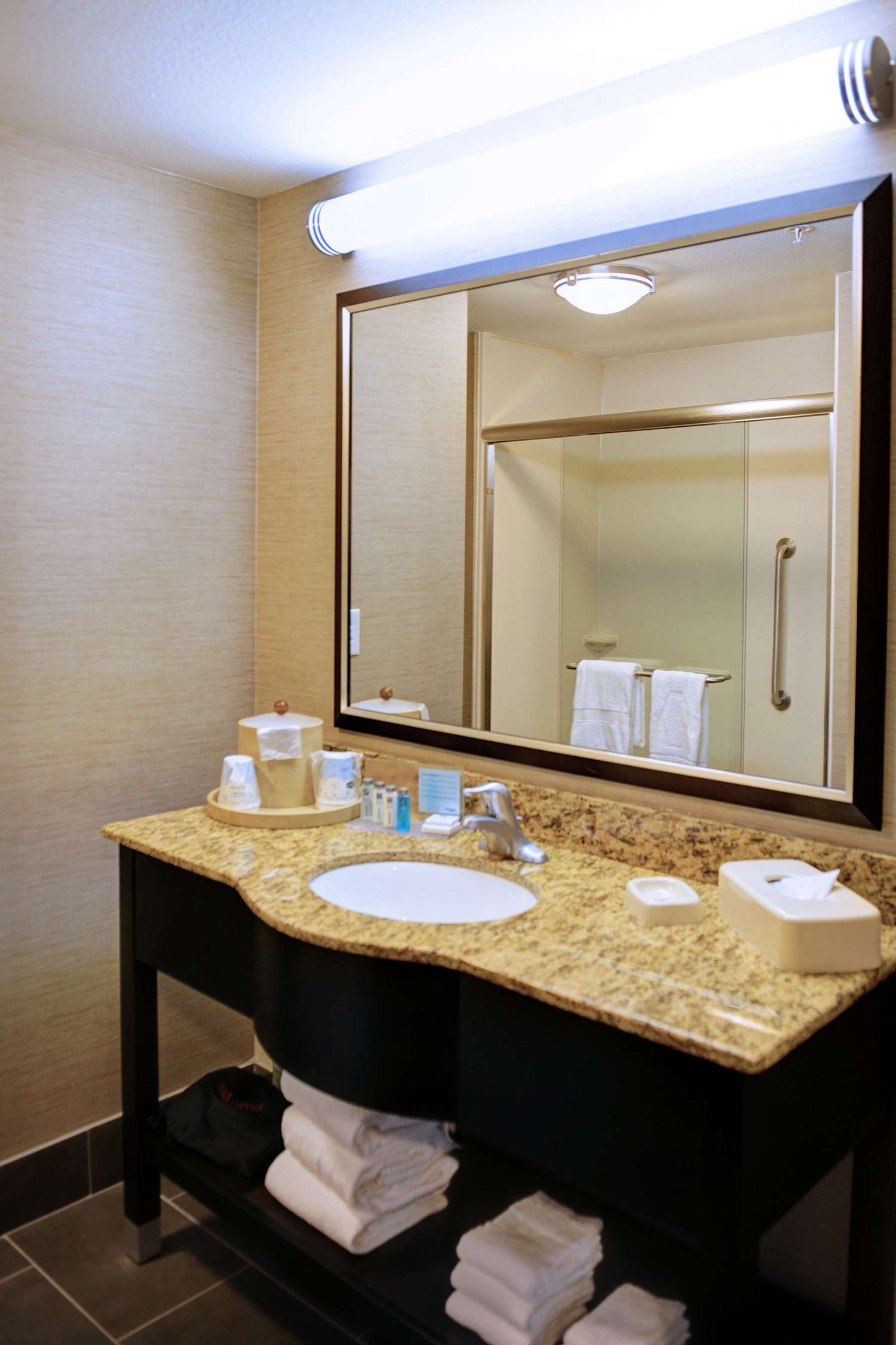 Hampton Inn Crystal River Room Type - 1KNG MOB HEAR ACC W TUB NS