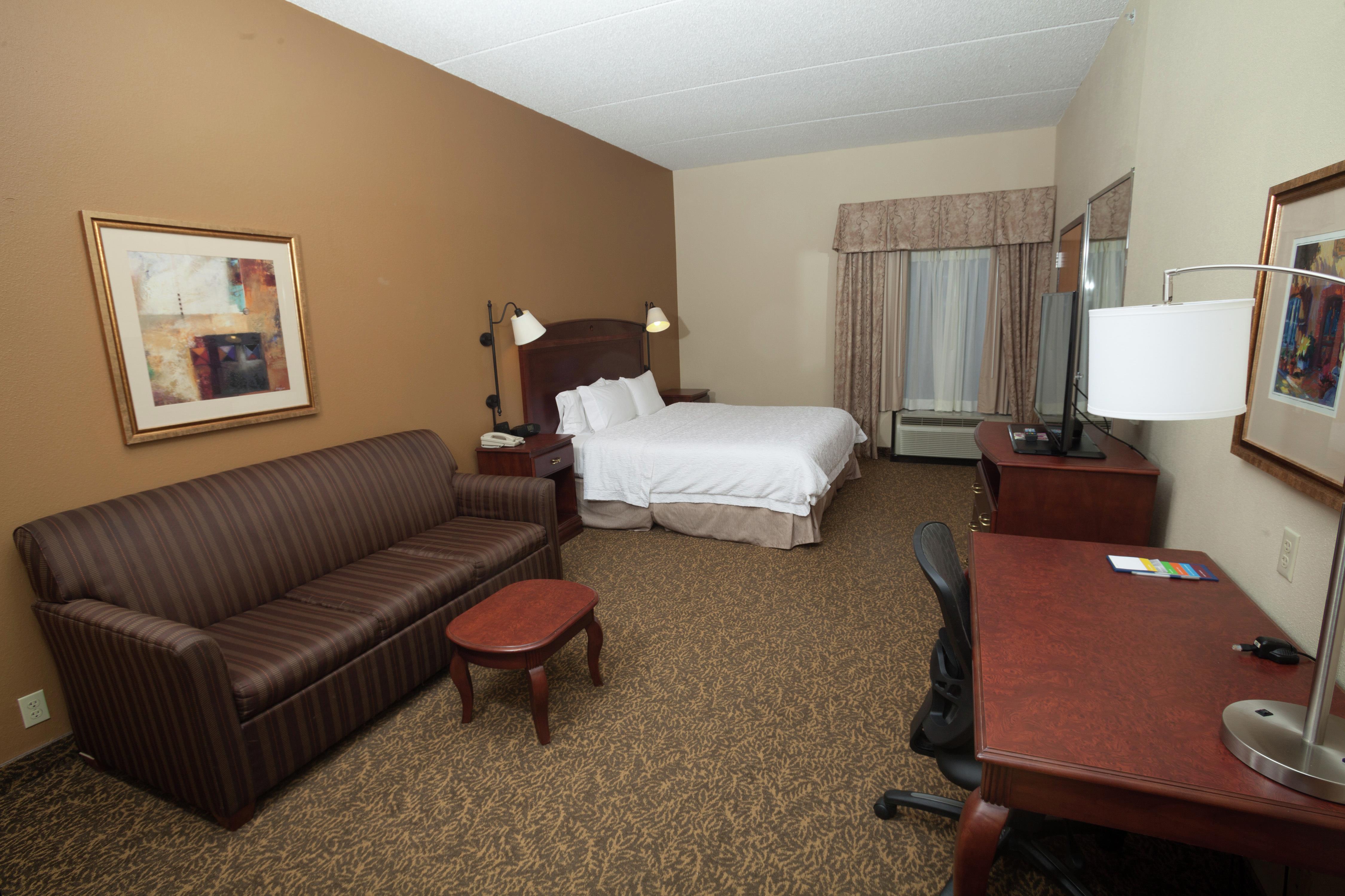 Hampton Inn by Hilton Oneonta Room Type - 1 KING W SOFABED NONSMOKIN