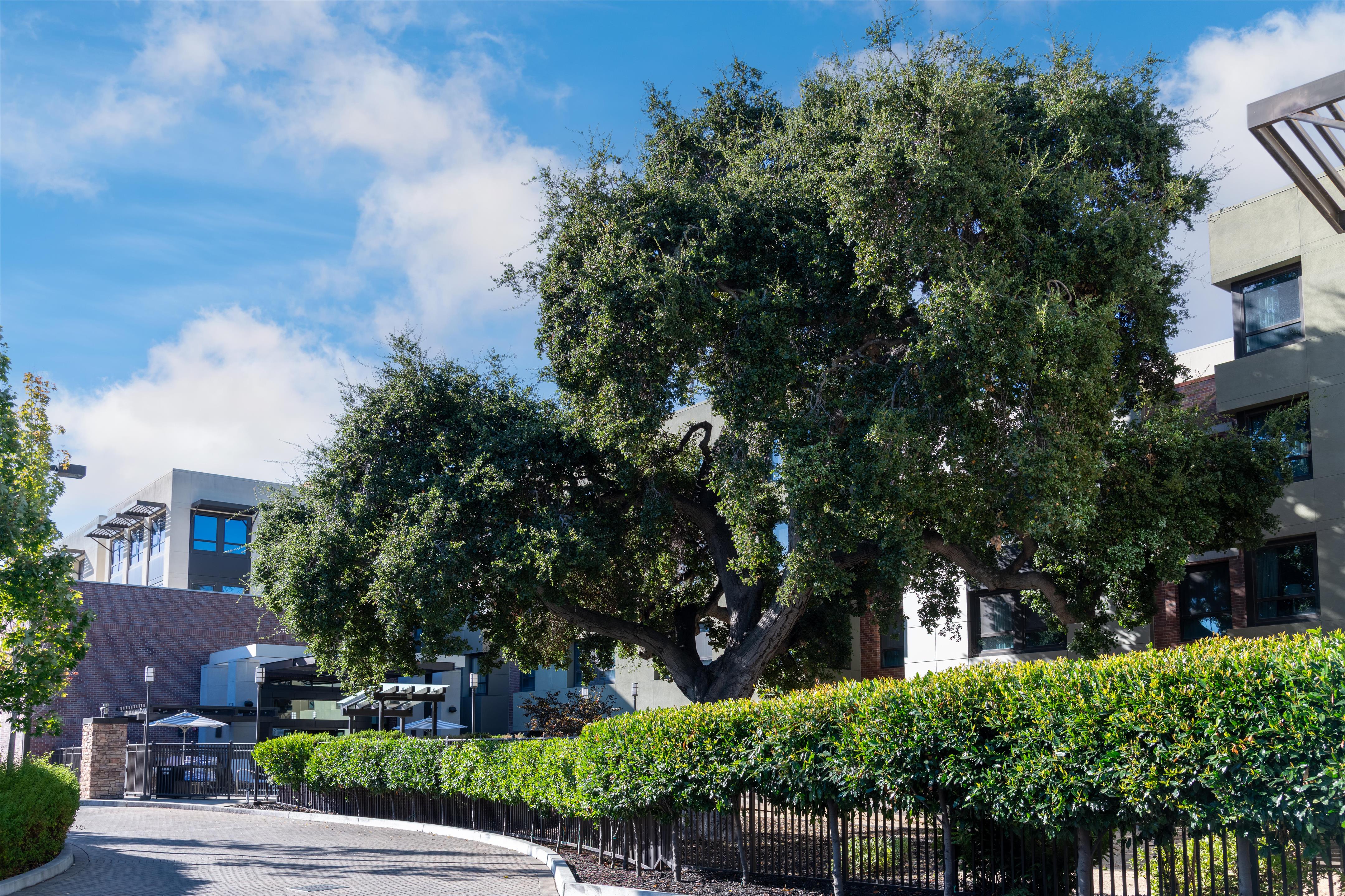 Exterior | Homewood Suites by Hilton Palo Alto