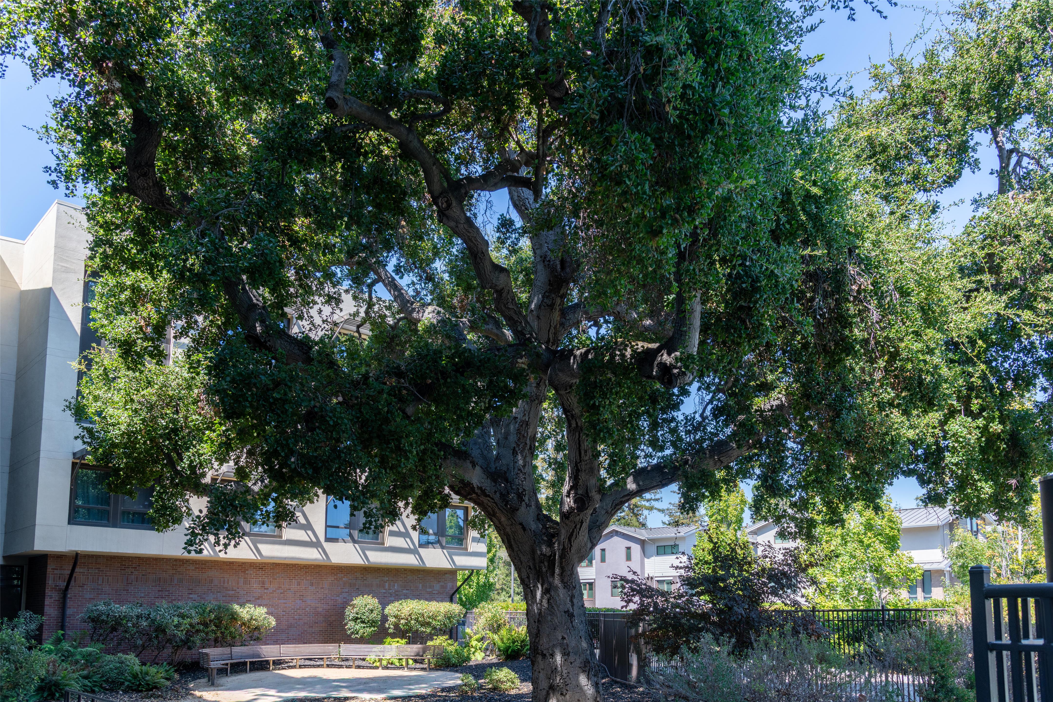 Exterior | Homewood Suites by Hilton Palo Alto