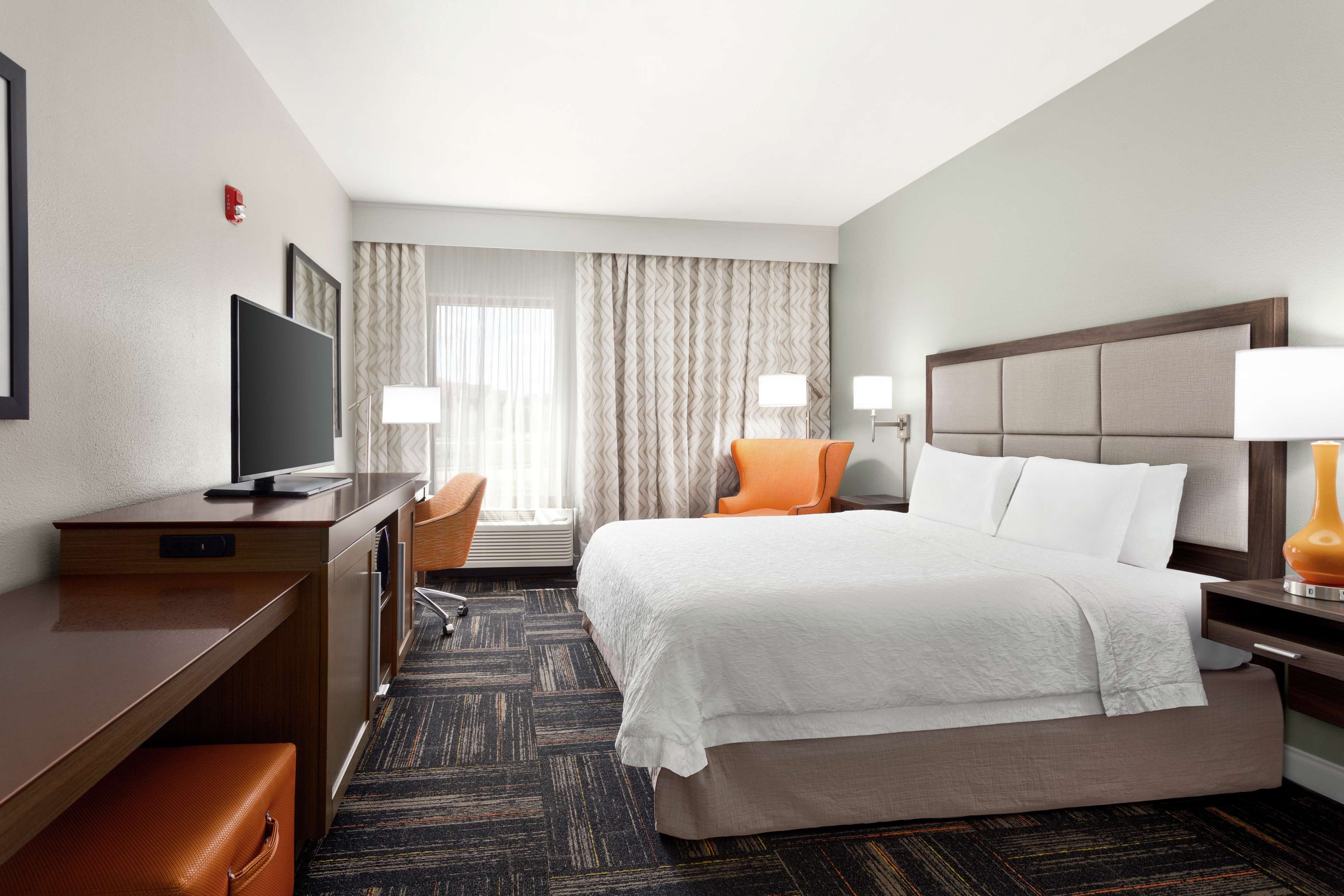 Hampton Inn Paris Room Type - 1 KNG ACC ROLLIN SHWR NS