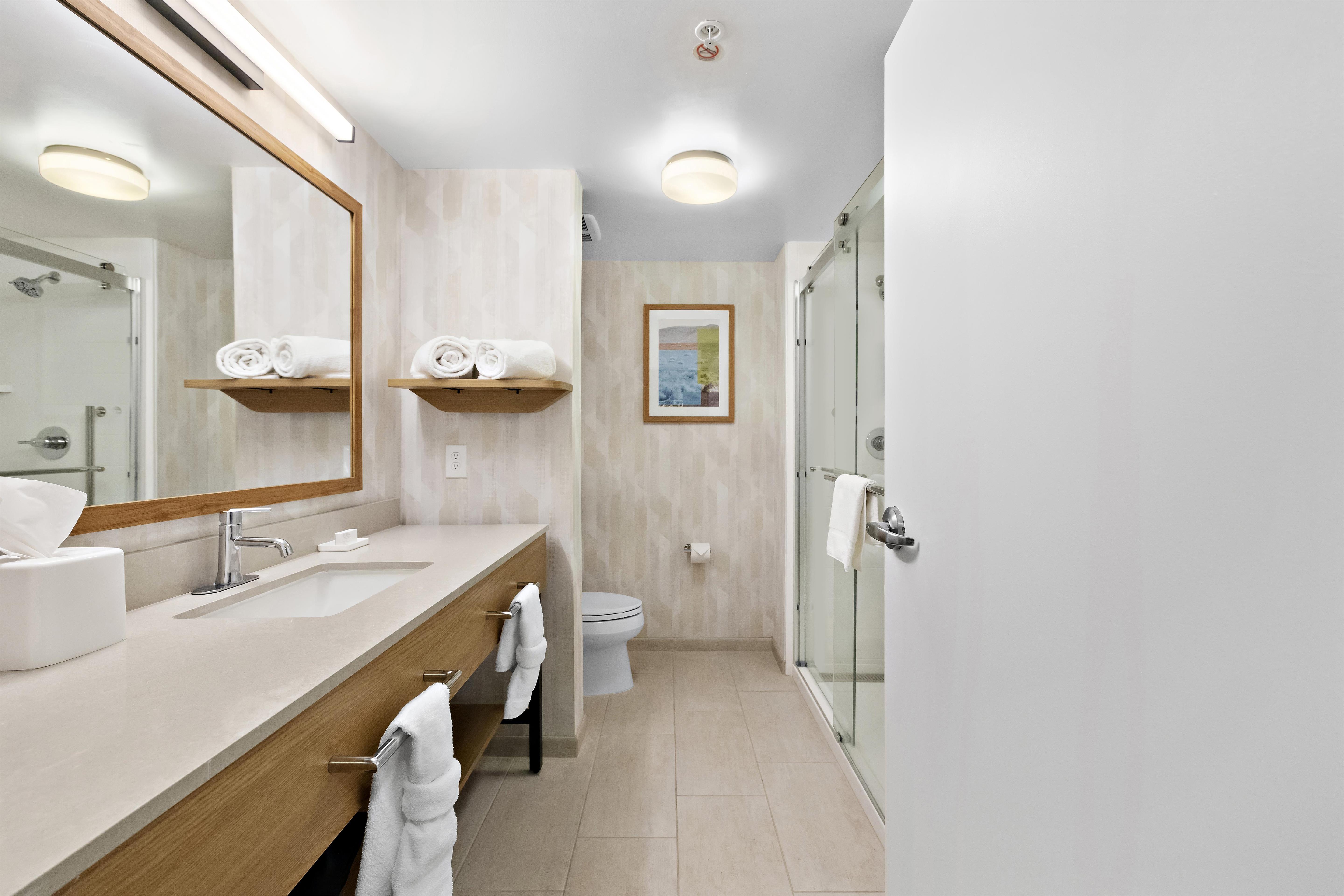 Hampton Inn & Suites by Hilton Lancaster Room Type - 1 KNG HEARING ACC NOSMOK