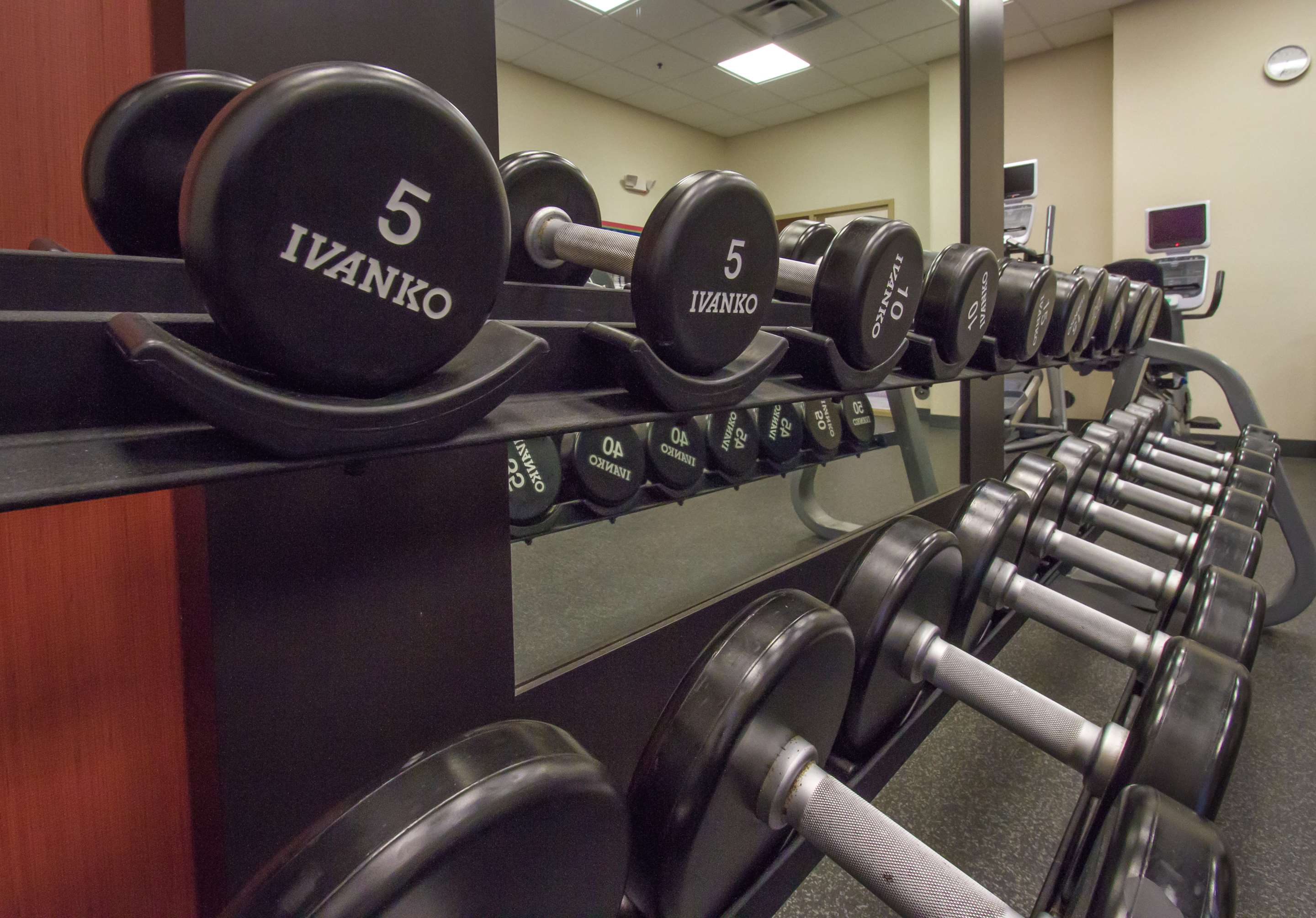 Health club fitness center gym