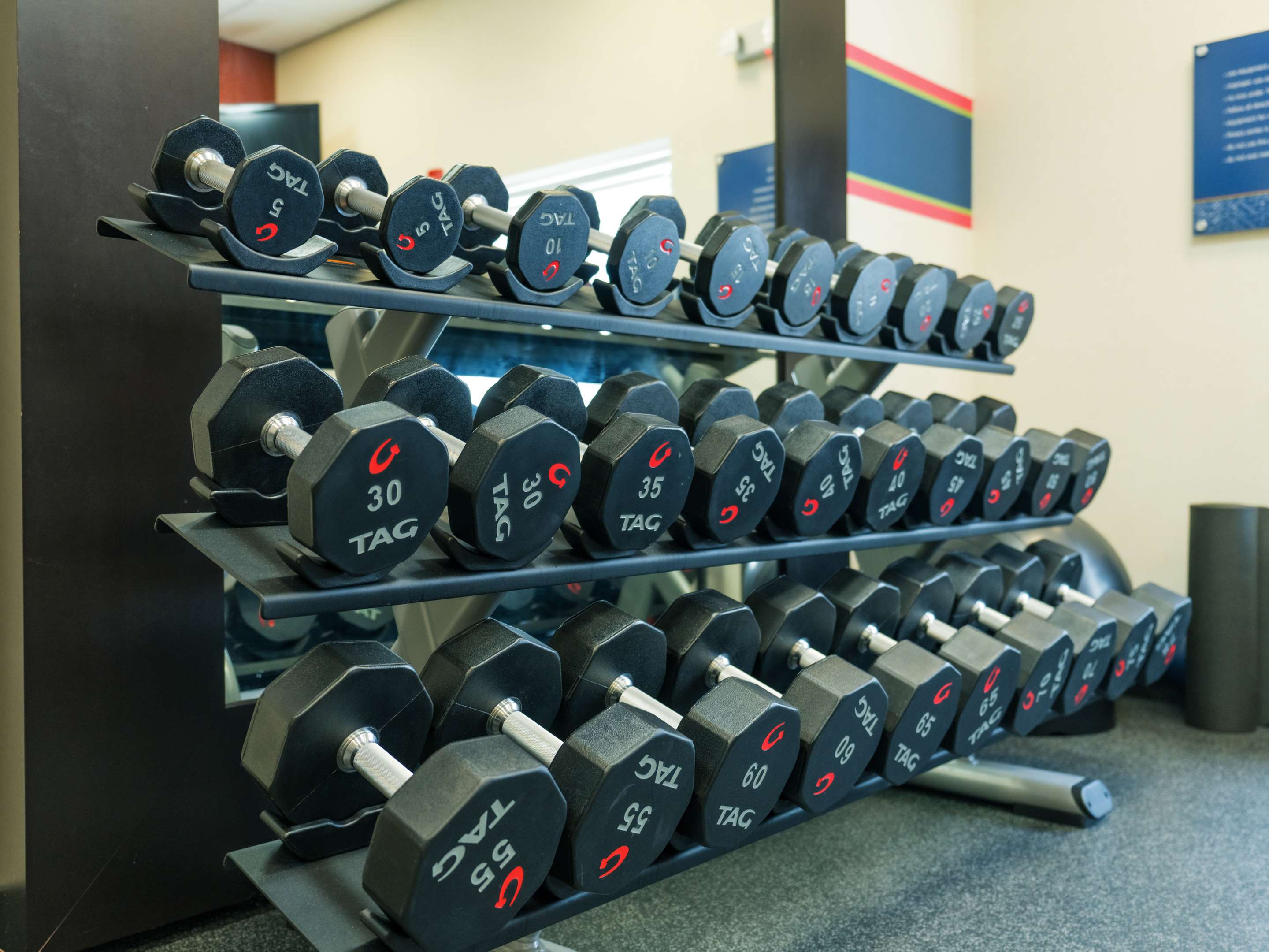 Health club fitness center gym