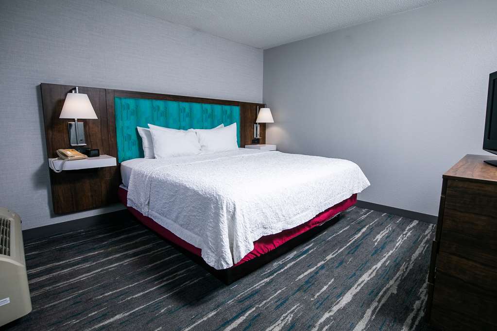 Hampton Inn Pickwick Lake, TN-guestroom-Guest Room,On-Site.jpg