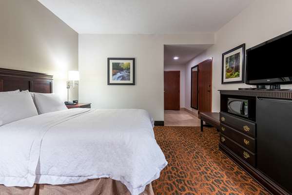  - Hampton Inn Mineral Wells