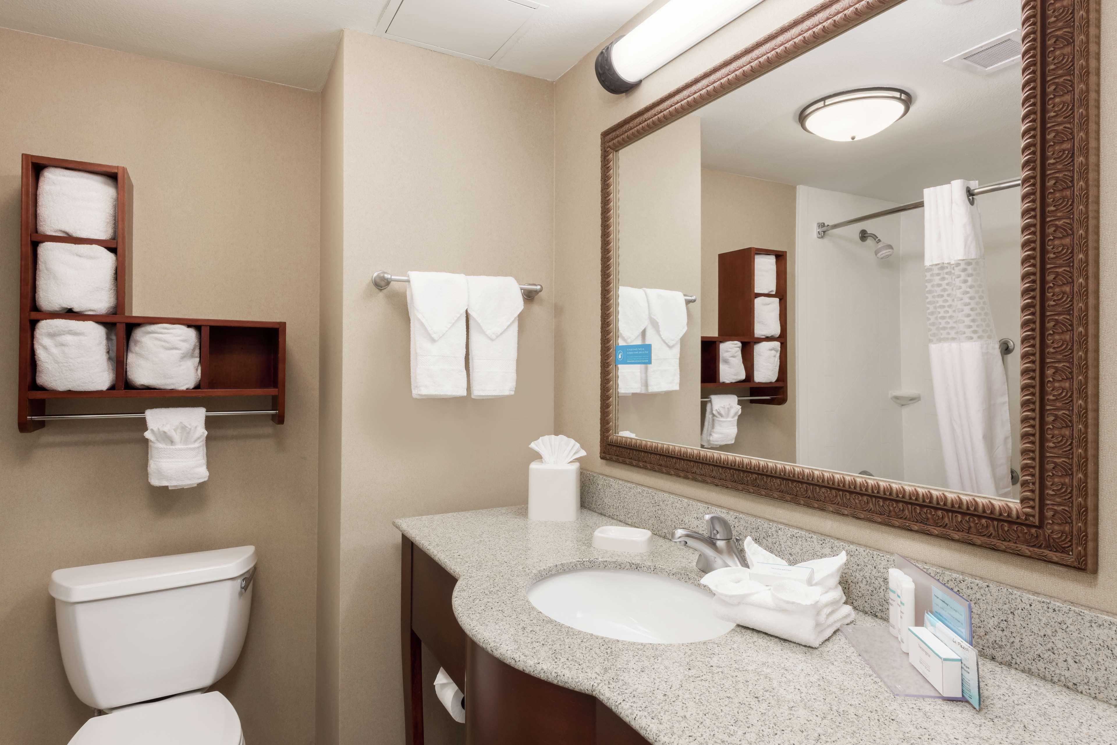Hampton Inn Branson - Branson Hills Room Type - 2 QUEEN BEDS NONSMOKING