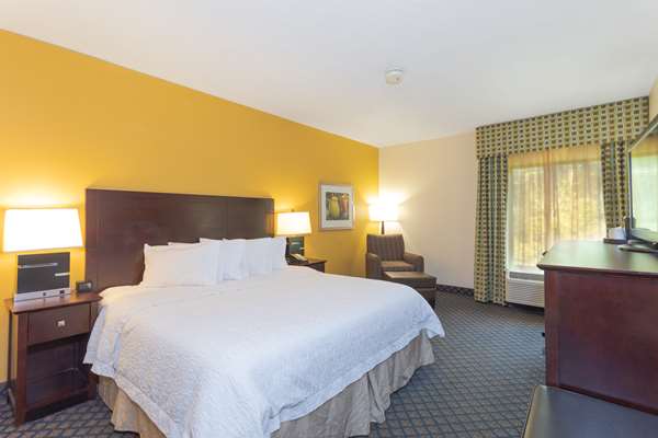  - Hampton Inn Ft Gregg Adams Petersburg - I-95, Exit 45