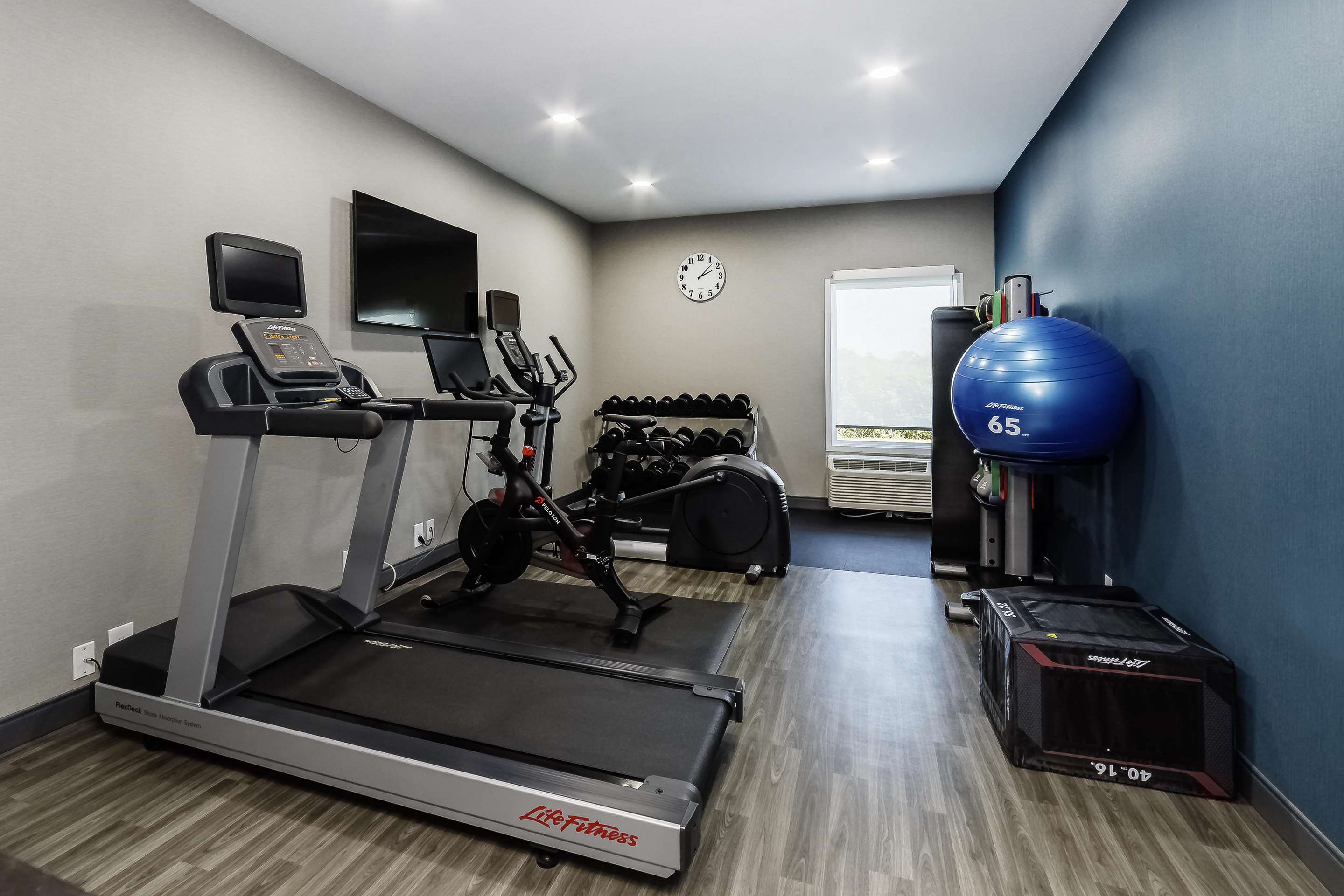 Health club fitness center gym
