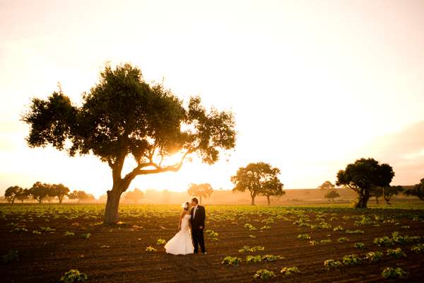 Exterior view - Hampton Inn & Suites Ridgecrest
