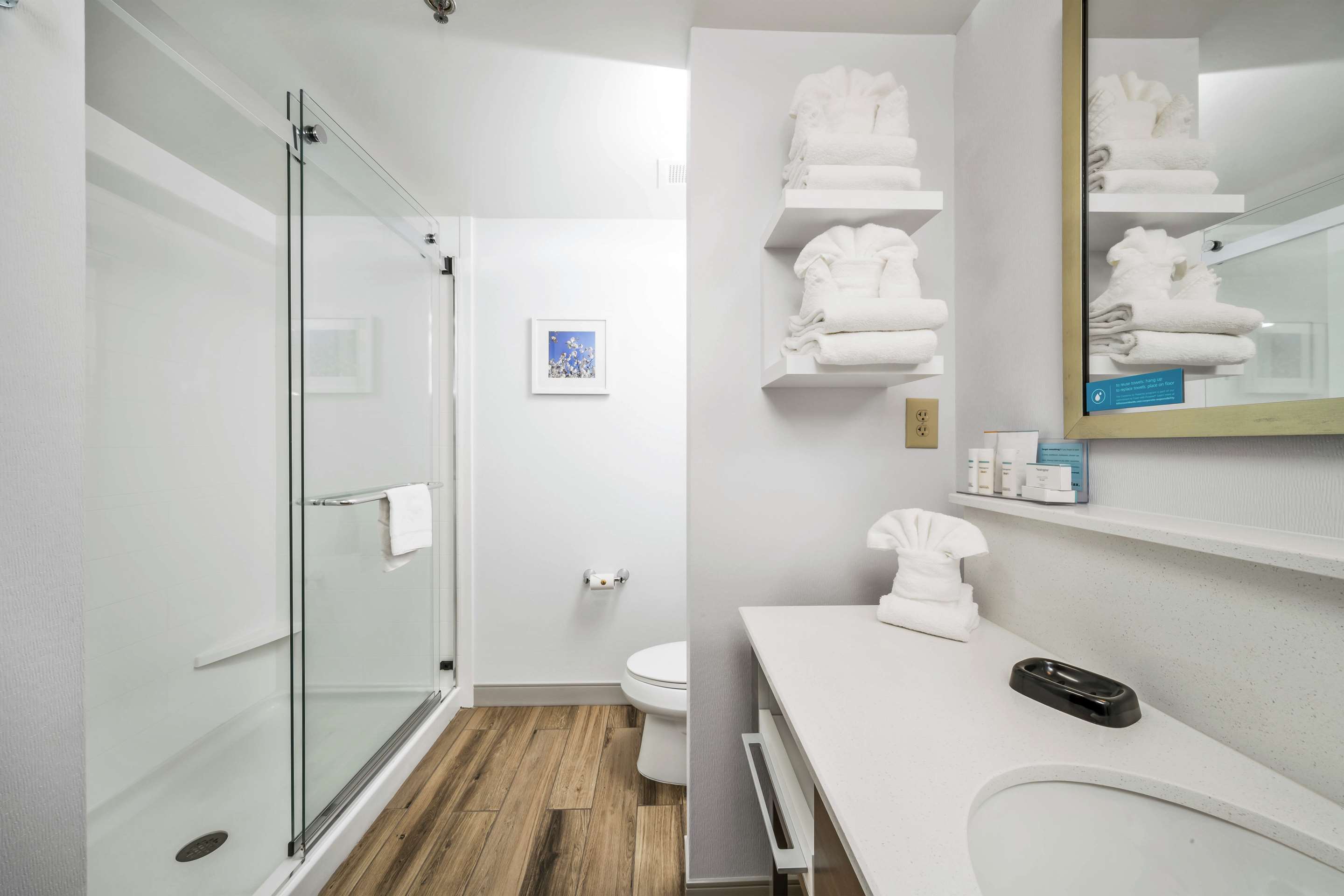 Guest room bath