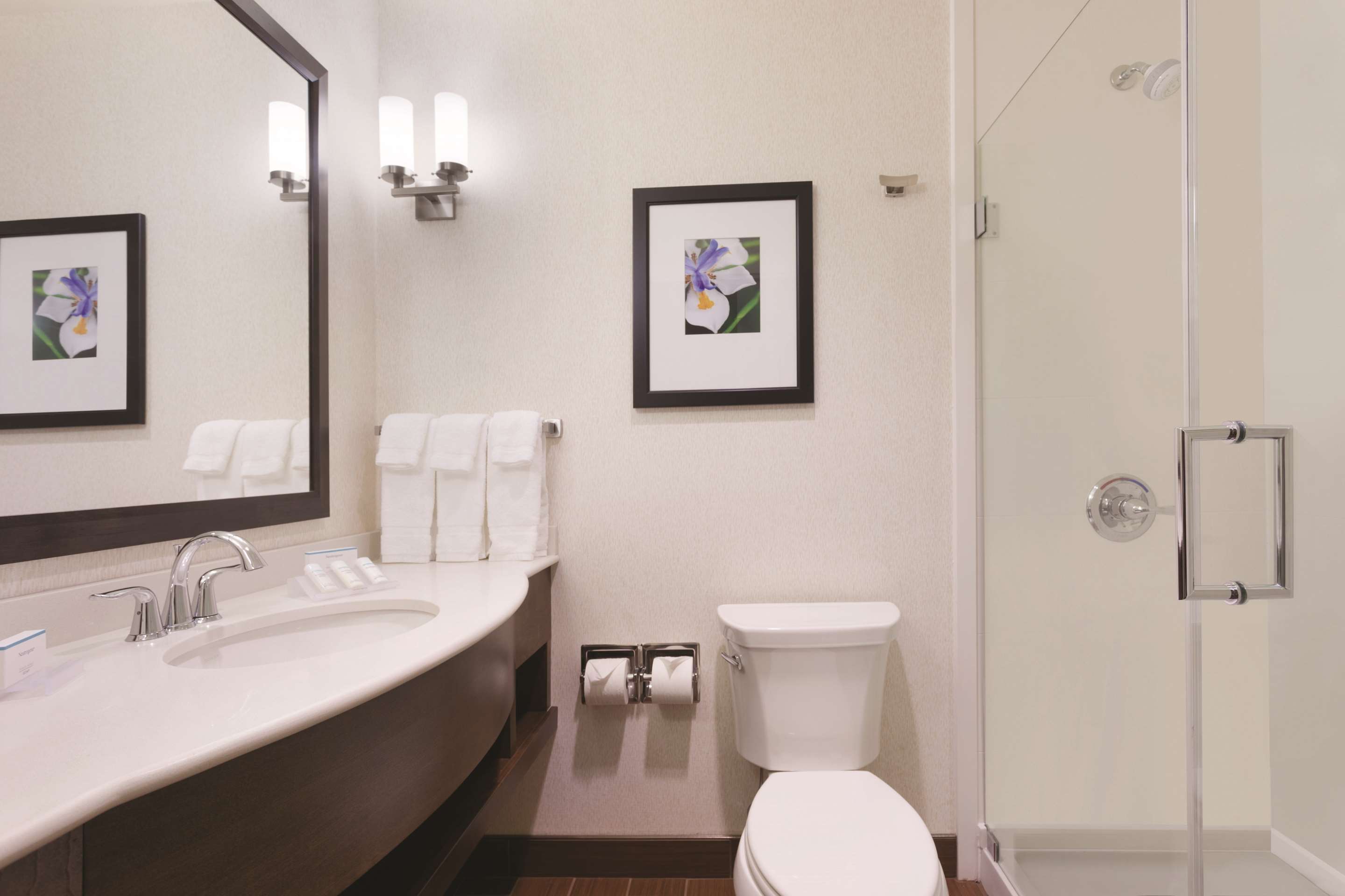 Guest room bath
