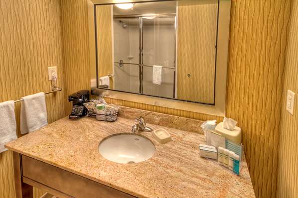  - Hampton Inn & Suites Rochester - I-390, Exit 14B