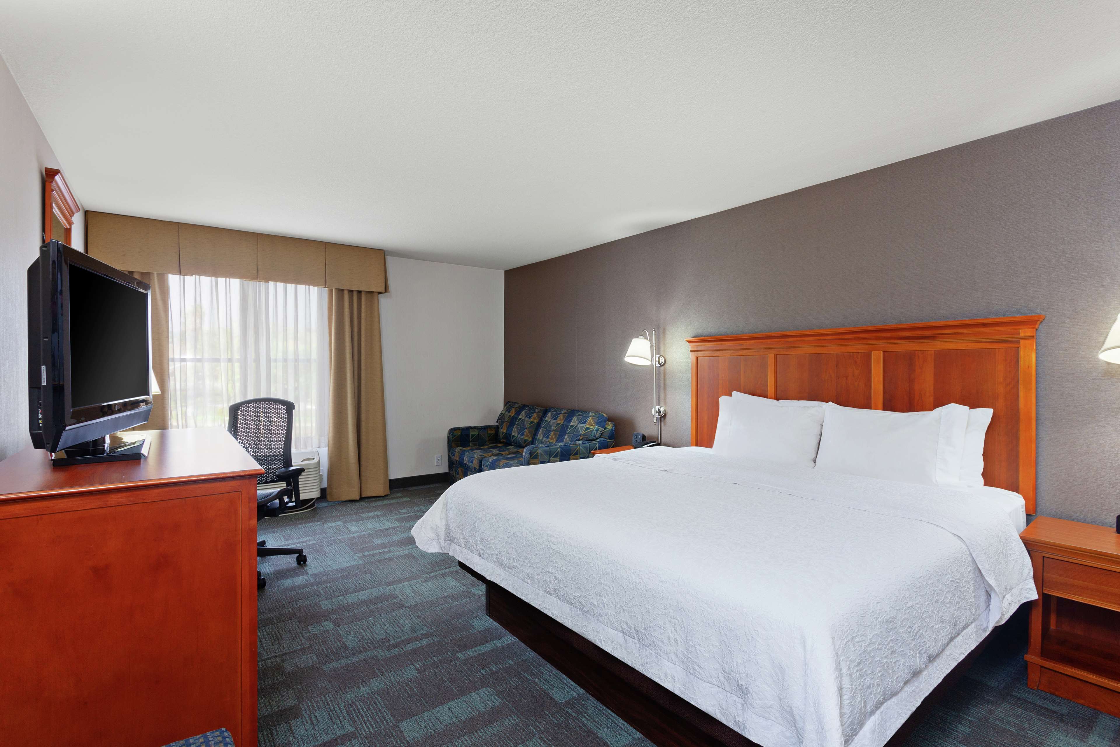 Hampton Inn San Marcos Room Type - 1KING STUDY SOFABED NOSMOK