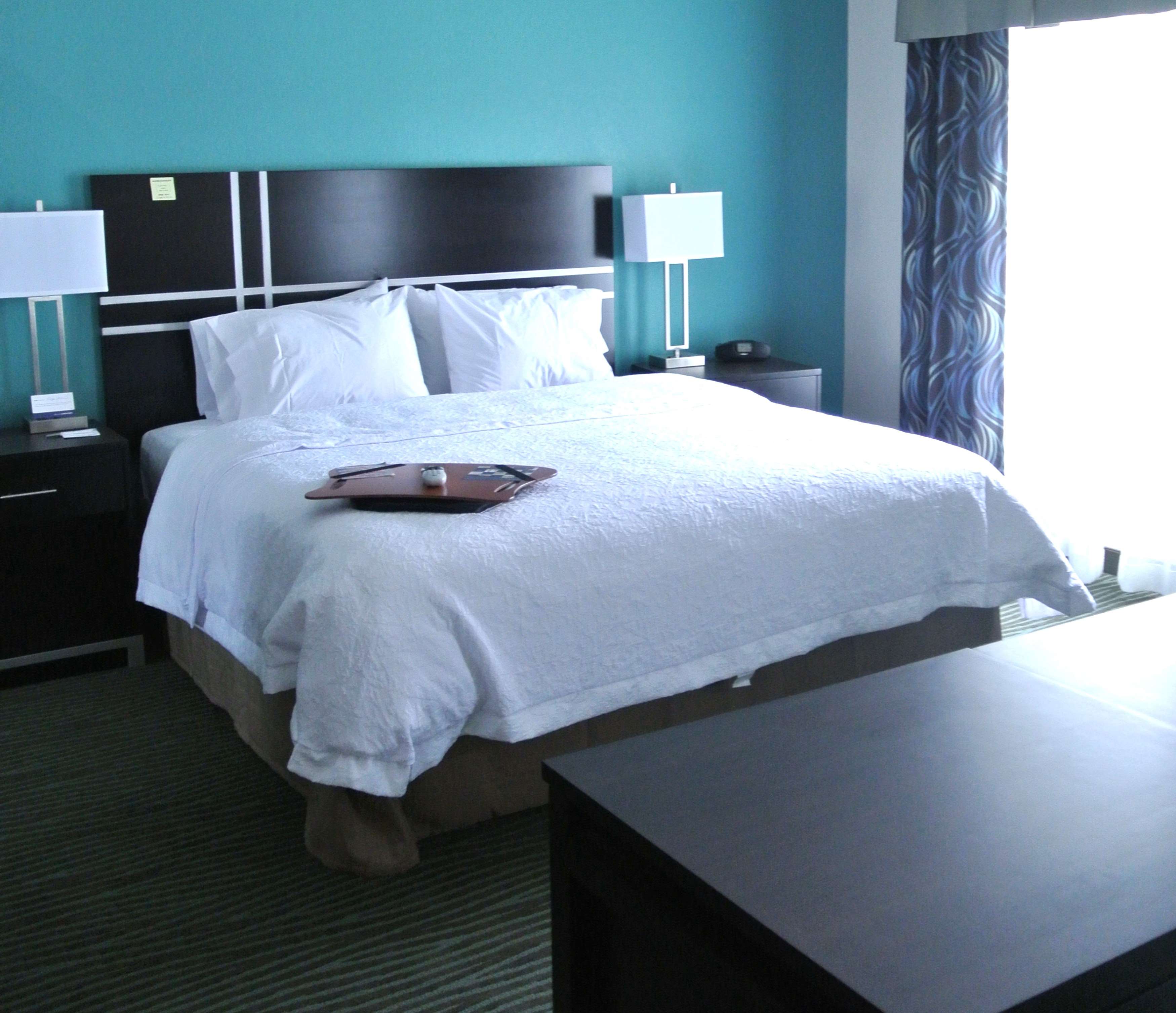 Hampton Inn by Hilton Carrizo Springs Room Type - 1KN STDO MIC FRIDG WTBR NS